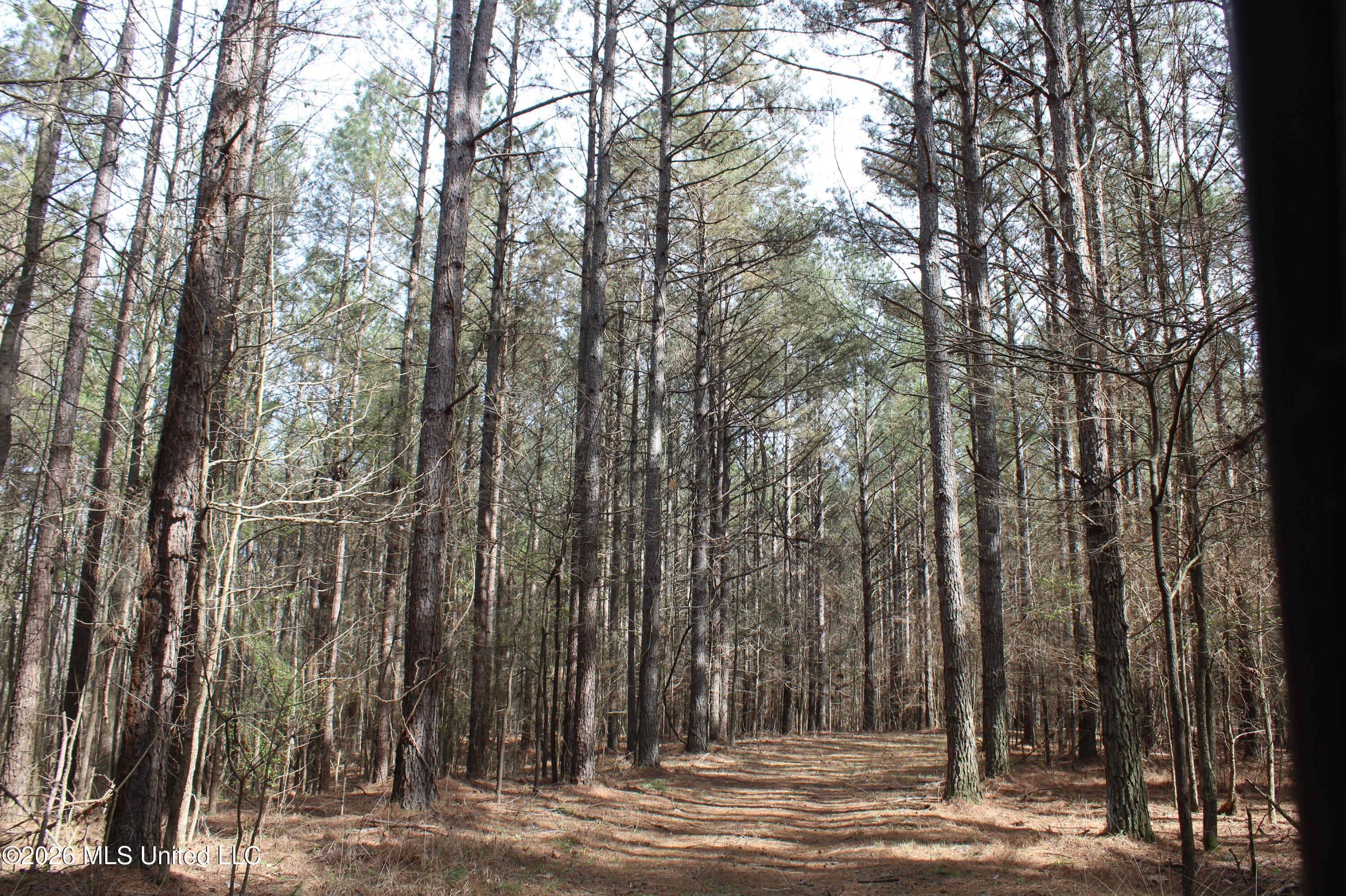 4500 Jaybird Road Property Photo 43