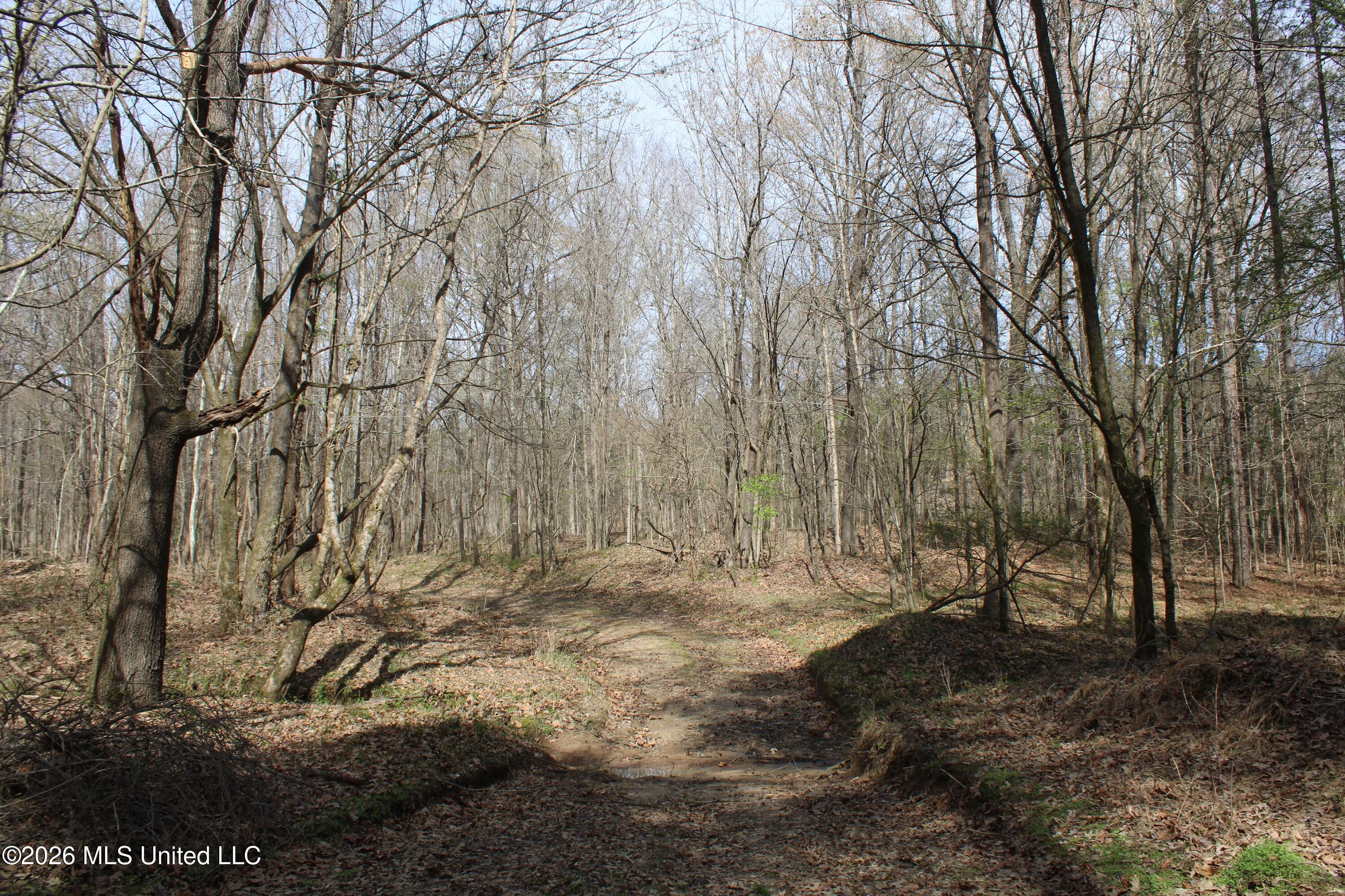 4500 Jaybird Road Property Photo 44