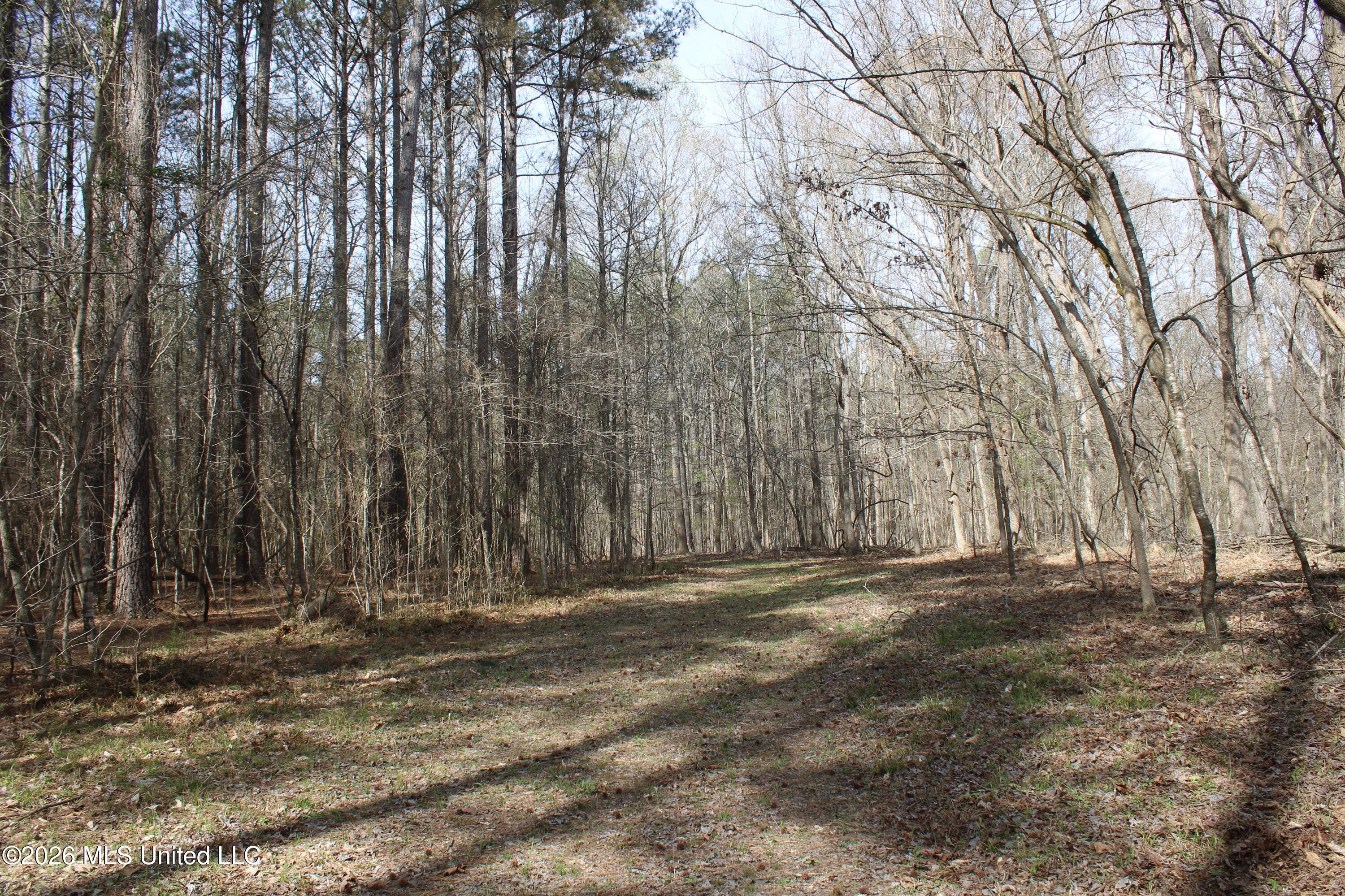 4500 Jaybird Road Property Photo 45