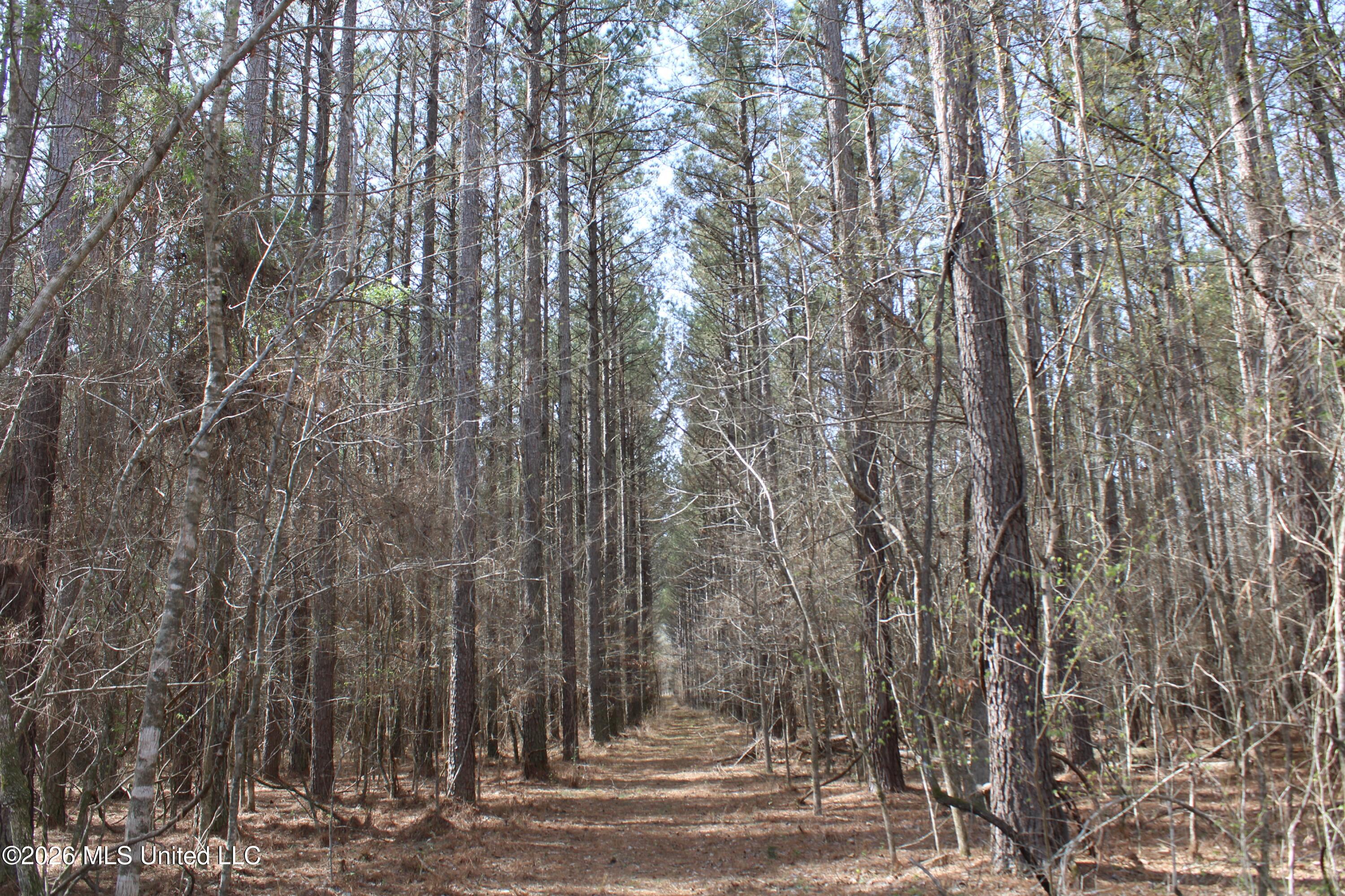 4500 Jaybird Road Property Photo 46
