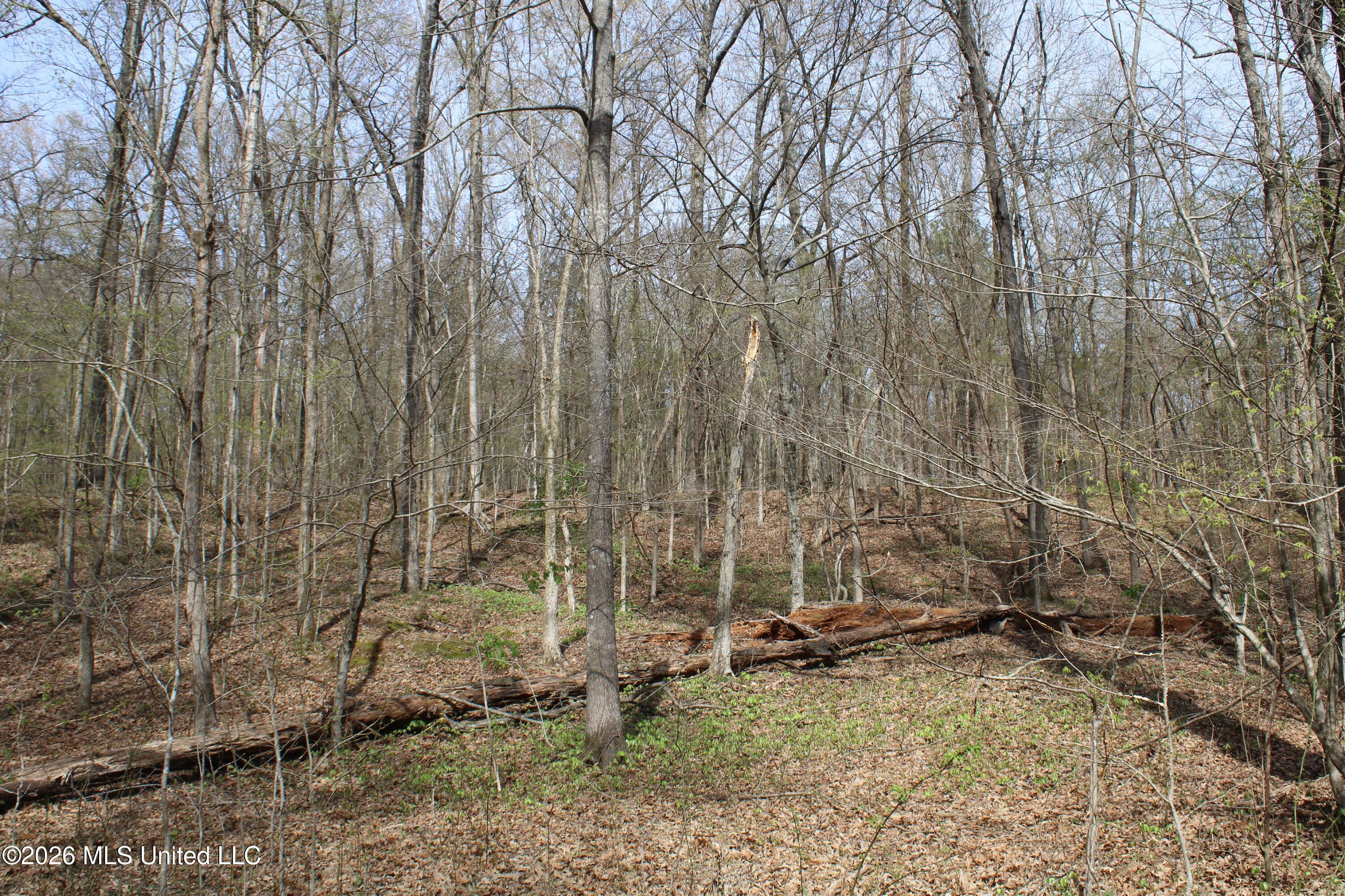 4500 Jaybird Road Property Photo 47