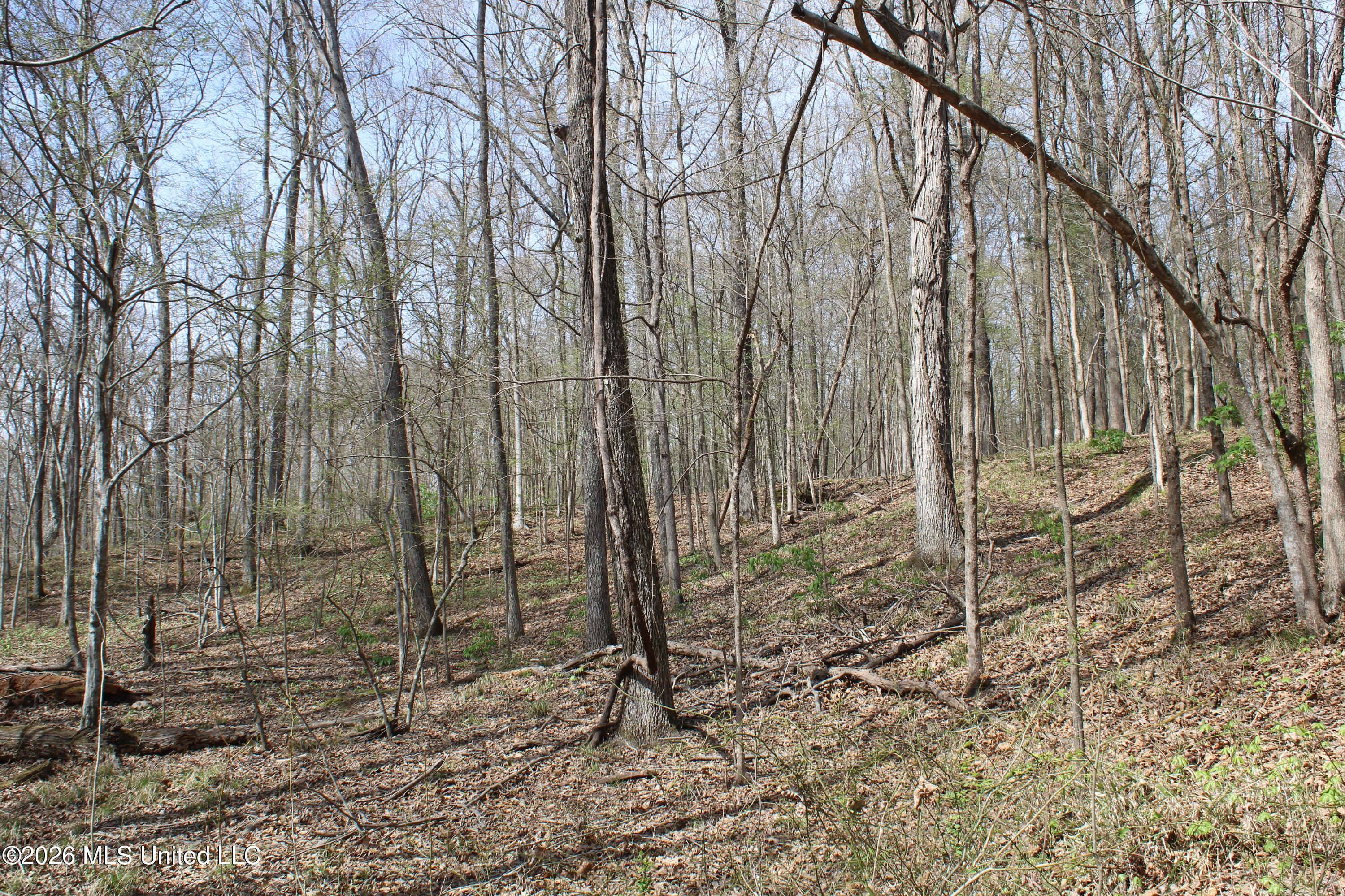 4500 Jaybird Road Property Photo 48