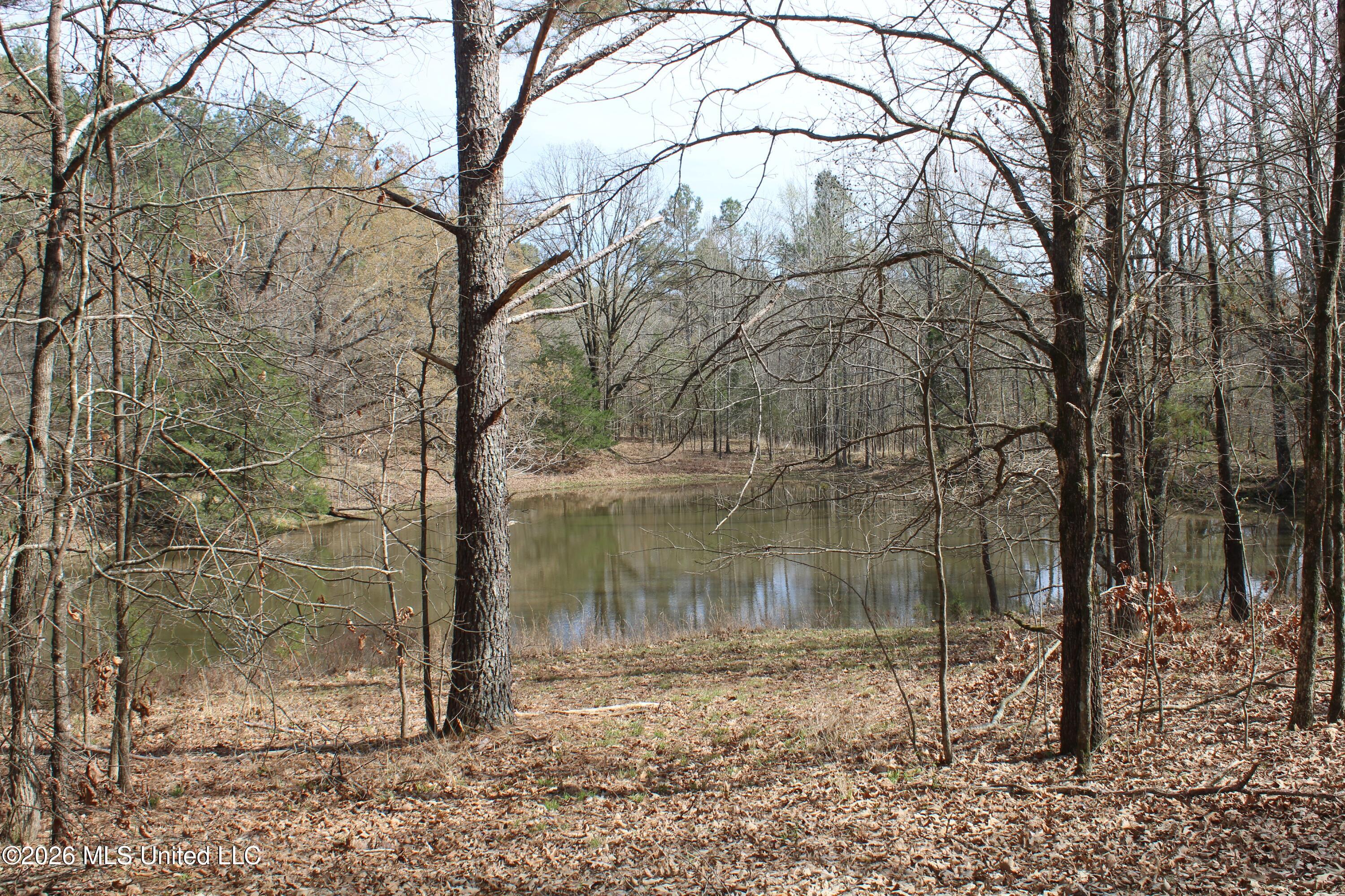 4500 Jaybird Road Property Photo 49