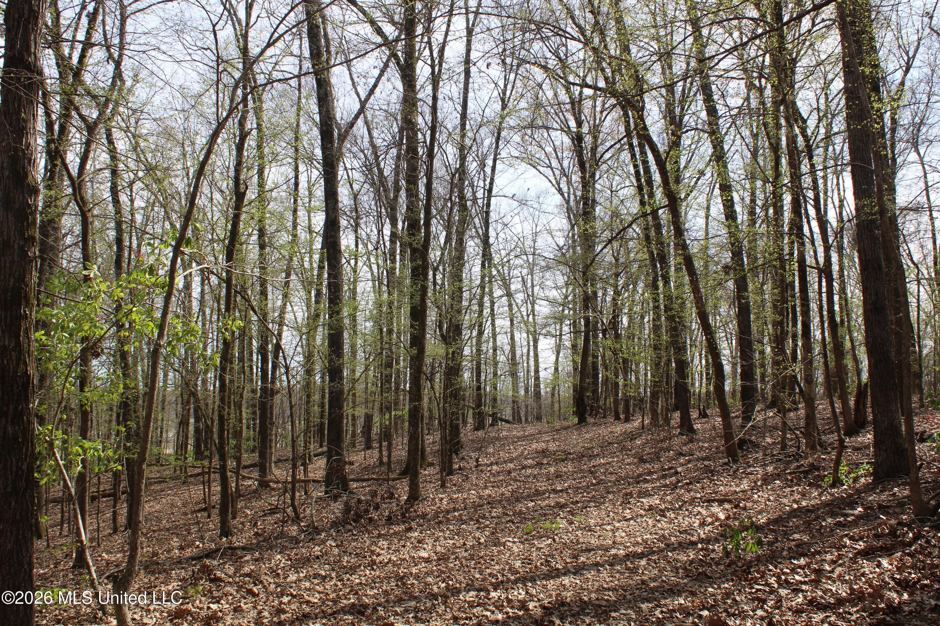 4500 Jaybird Road Property Photo 50
