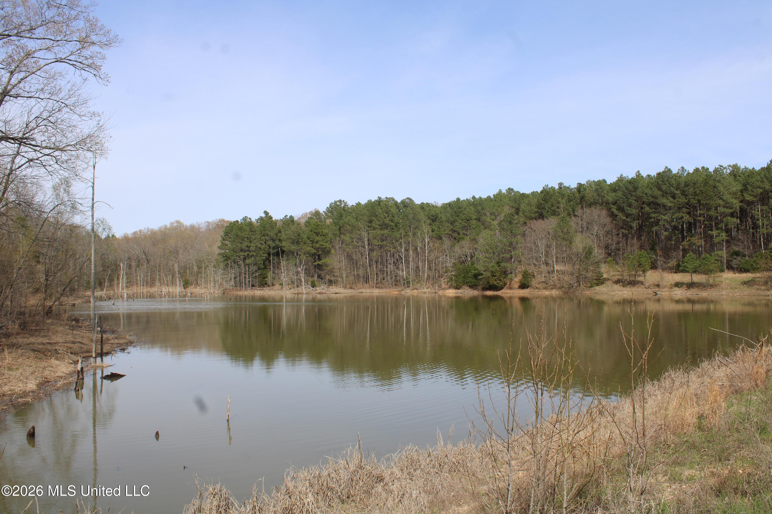 4500 Jaybird Road Property Photo 52