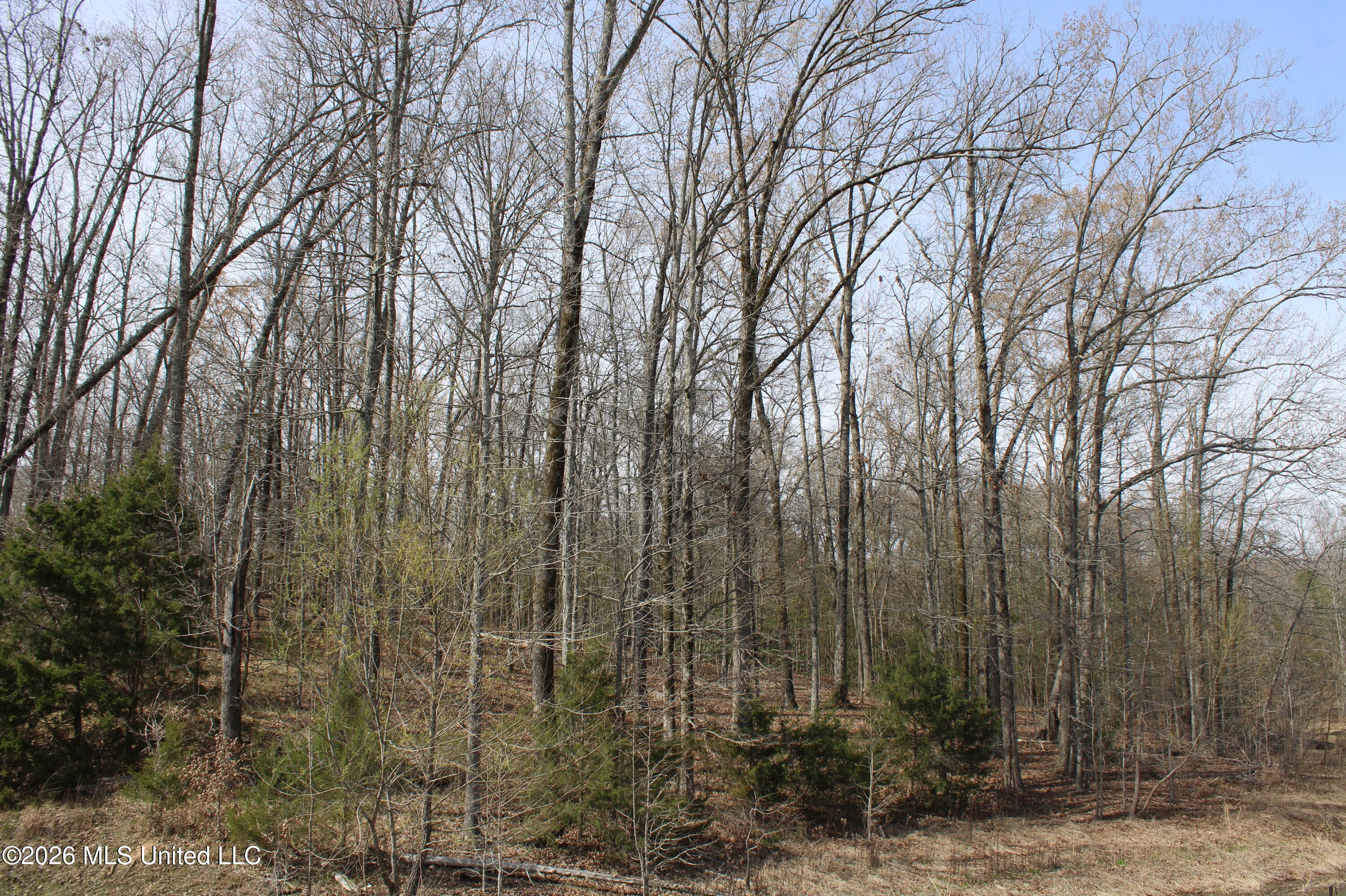 4500 Jaybird Road Property Photo 53