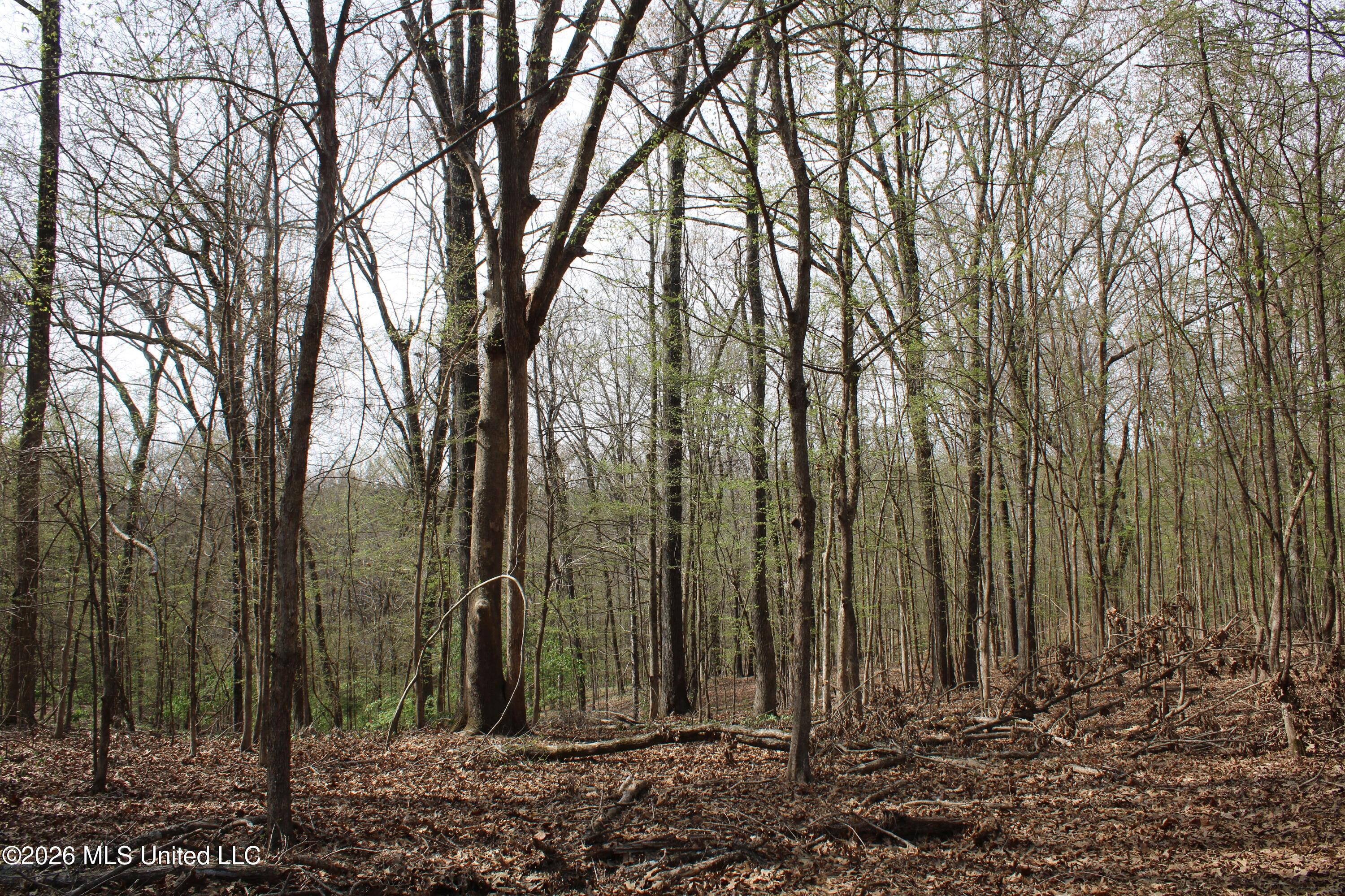 4500 Jaybird Road Property Photo 54