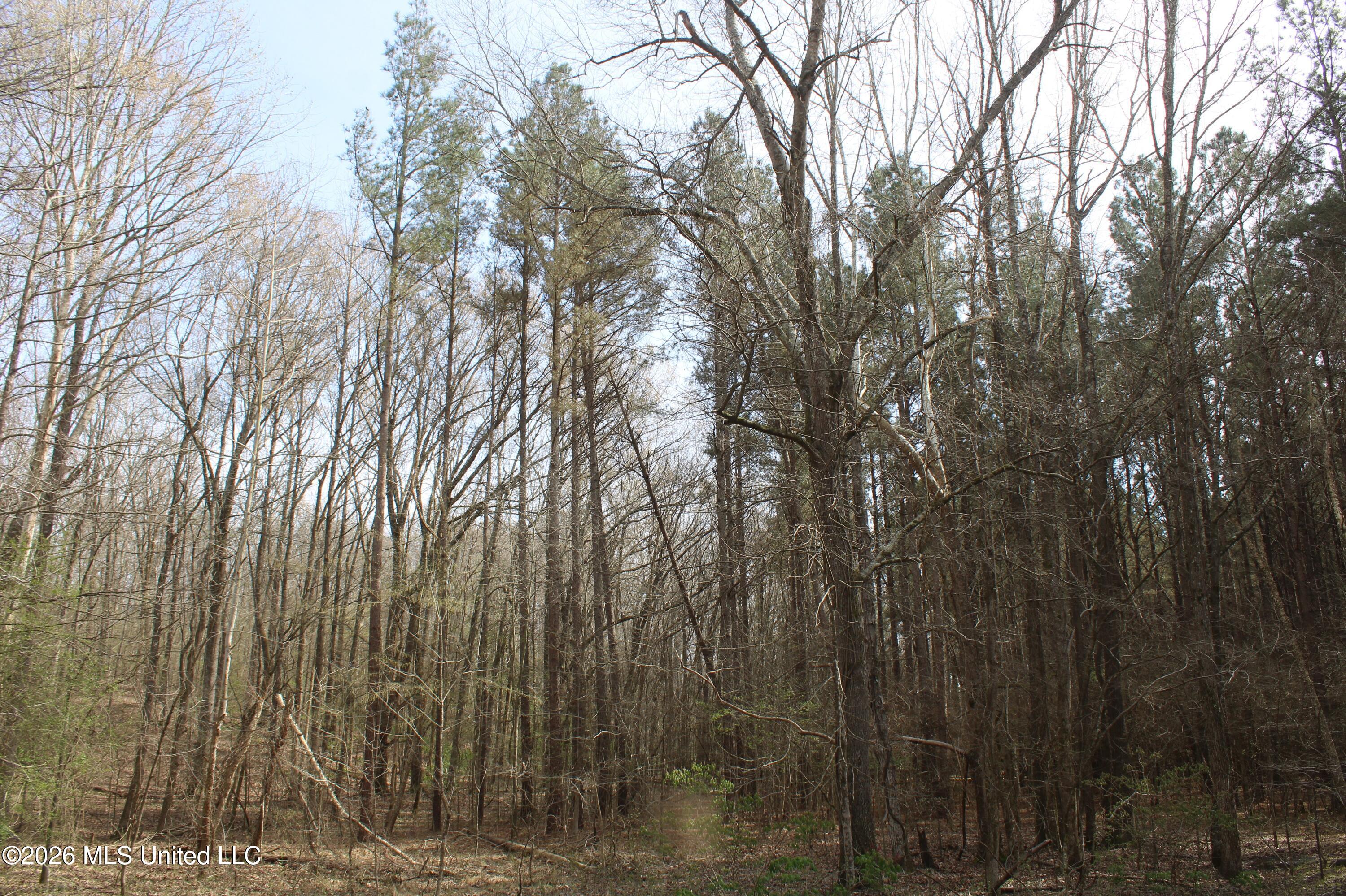 4500 Jaybird Road Property Photo 55