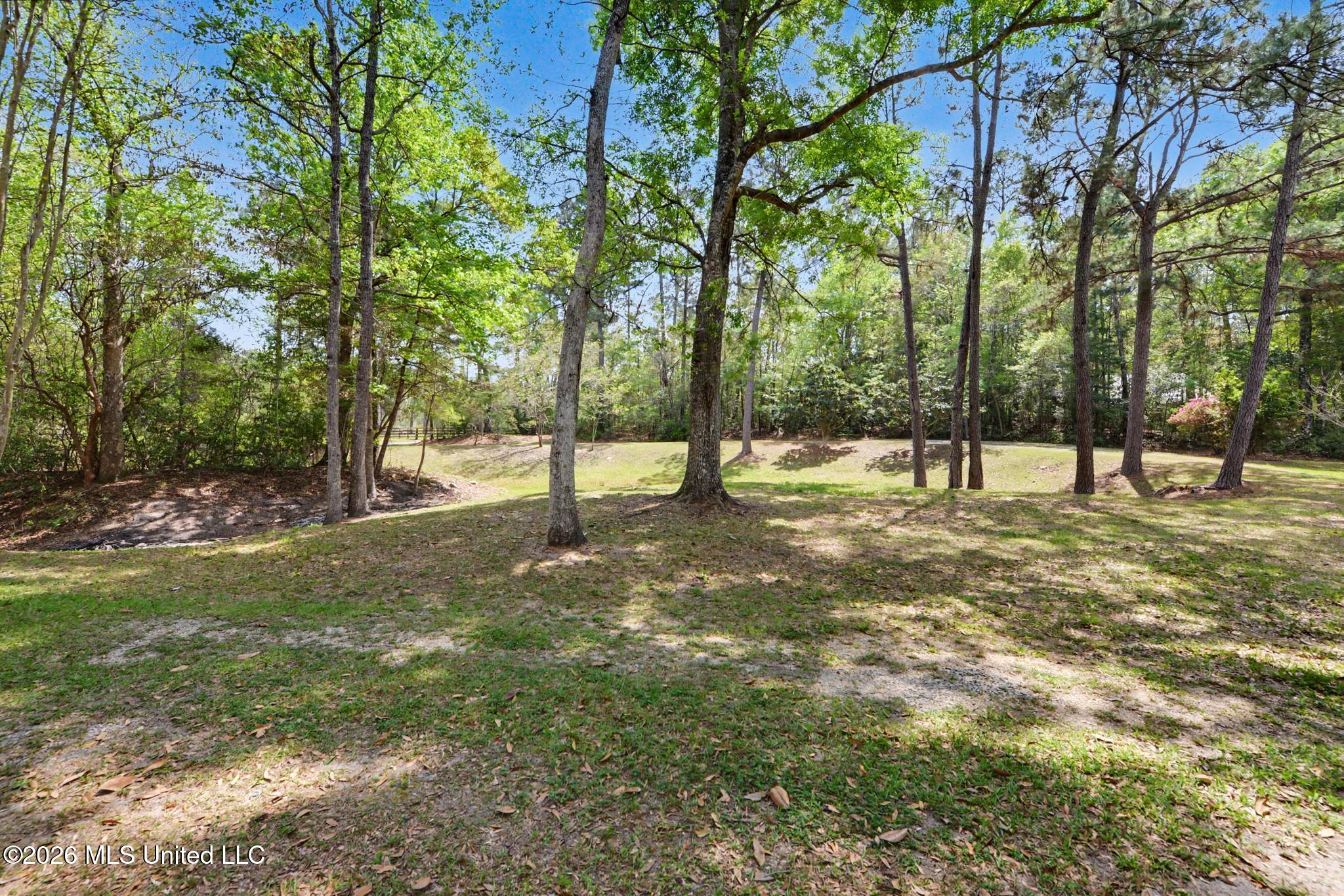63 Fritz Whitfield Road Property Photo 46