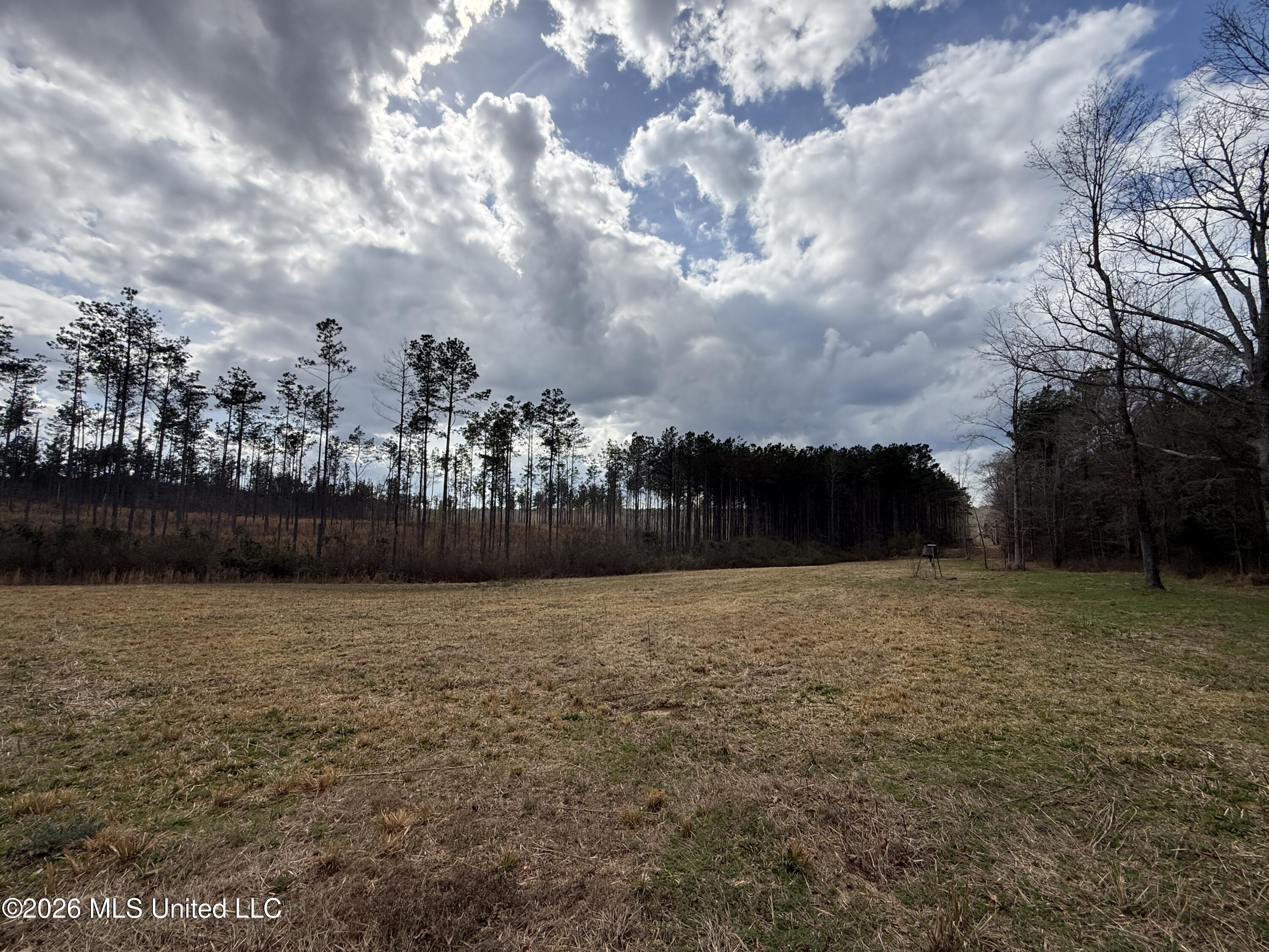 Cutts Road Property Photo 3