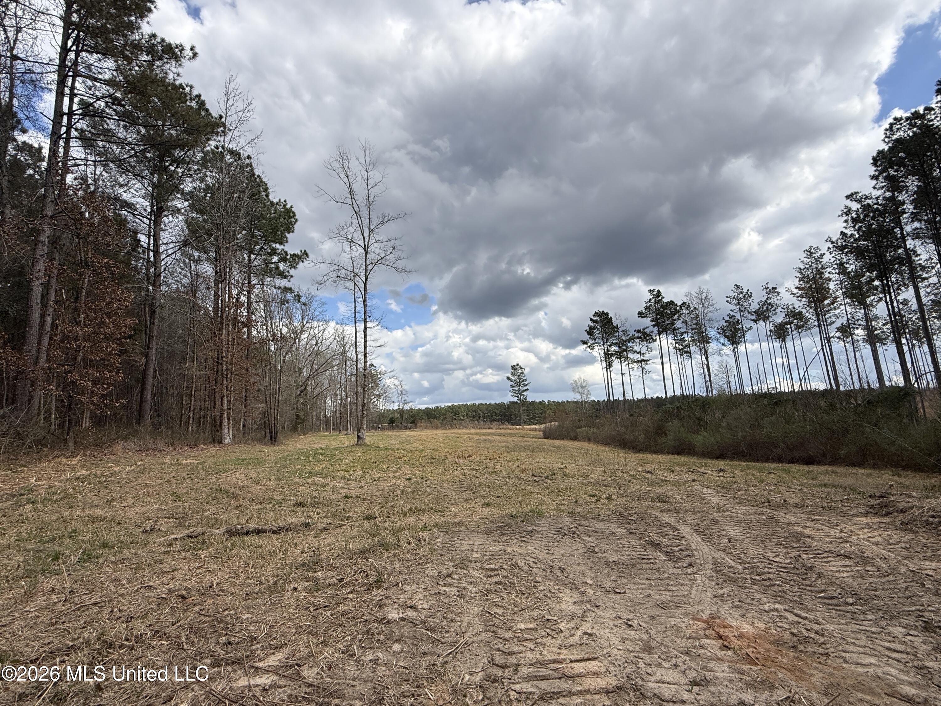 Cutts Road Property Photo 4