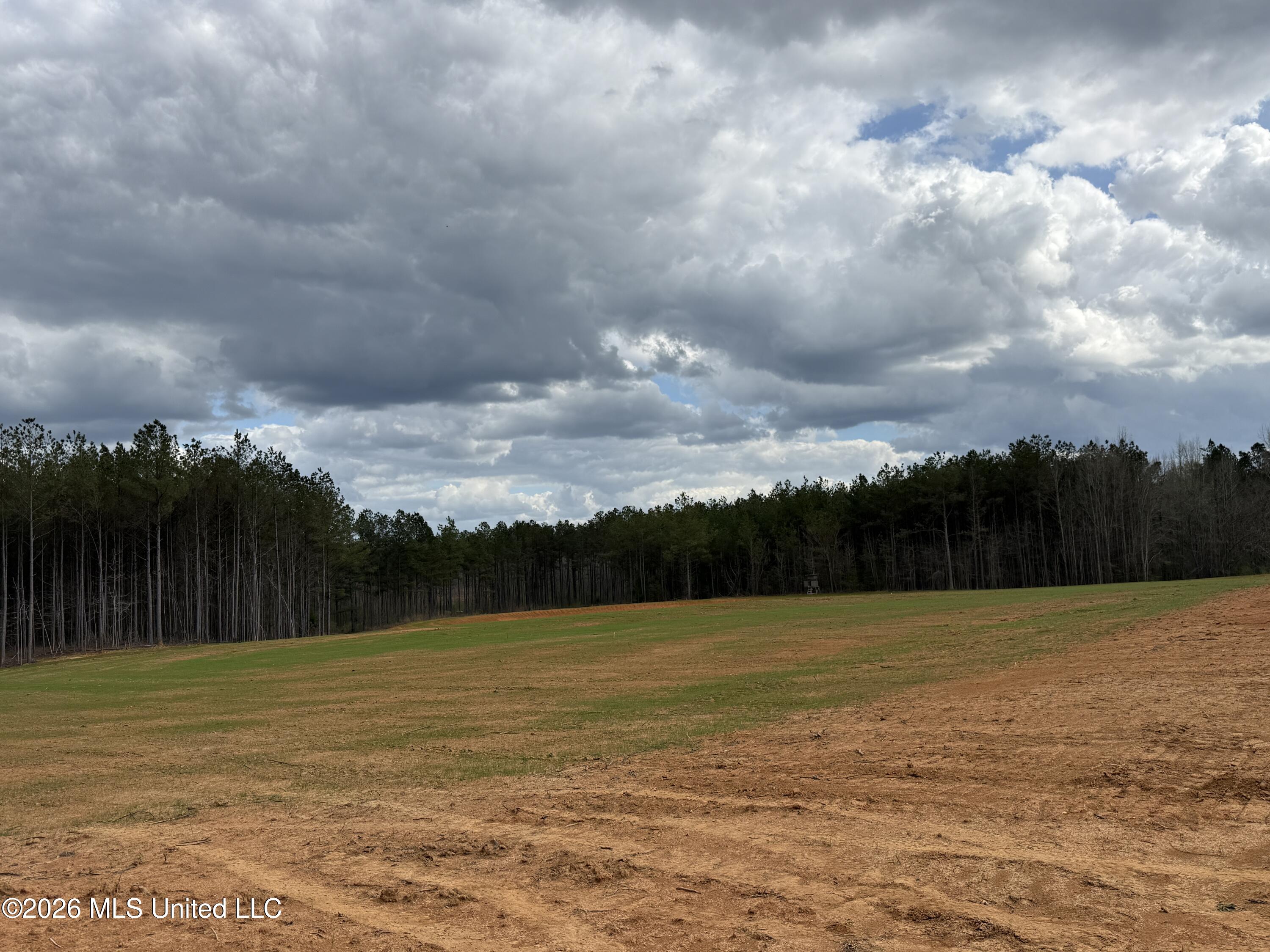 Cutts Road Property Photo 8