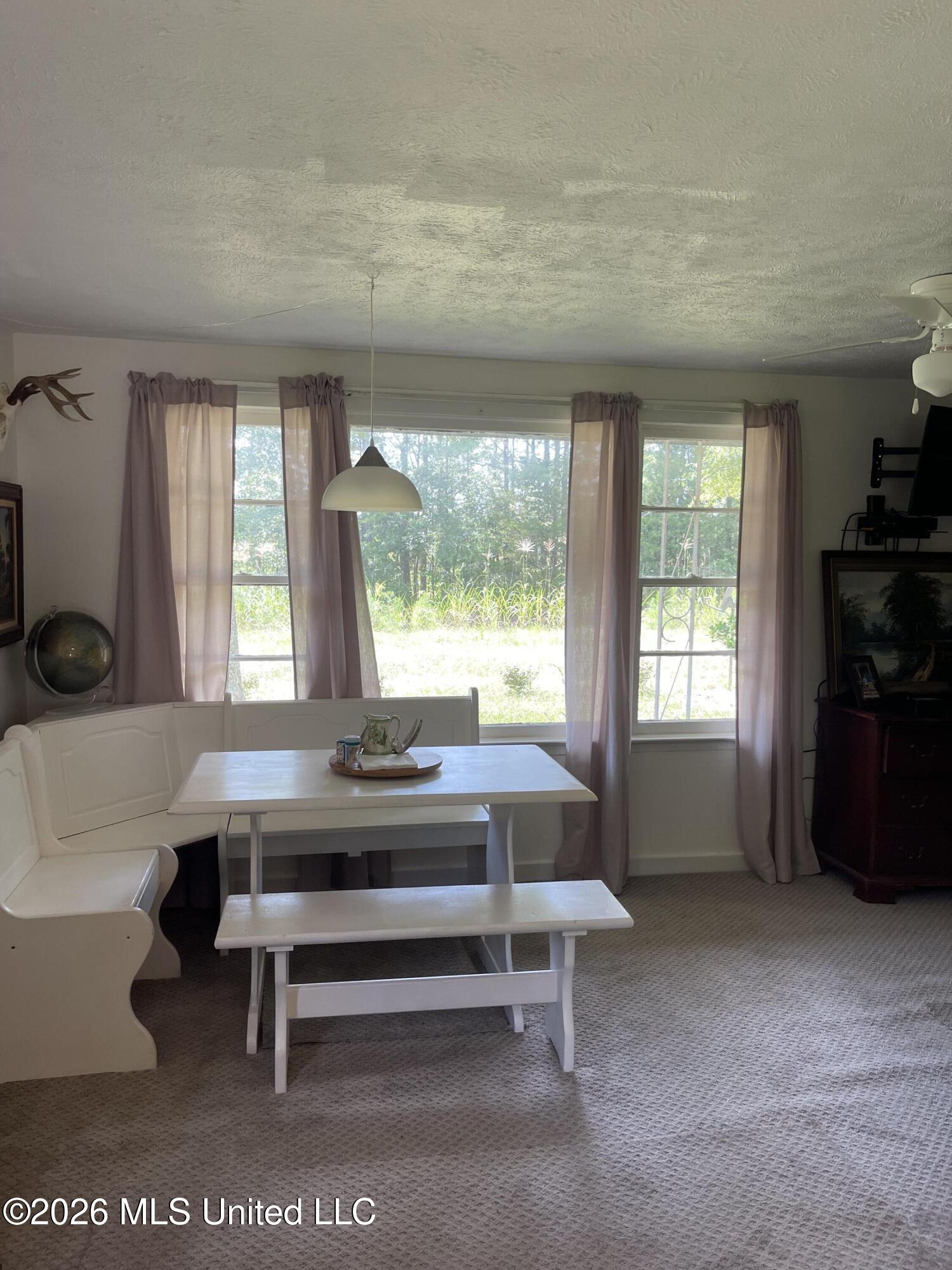 Cutts Road Property Photo 21