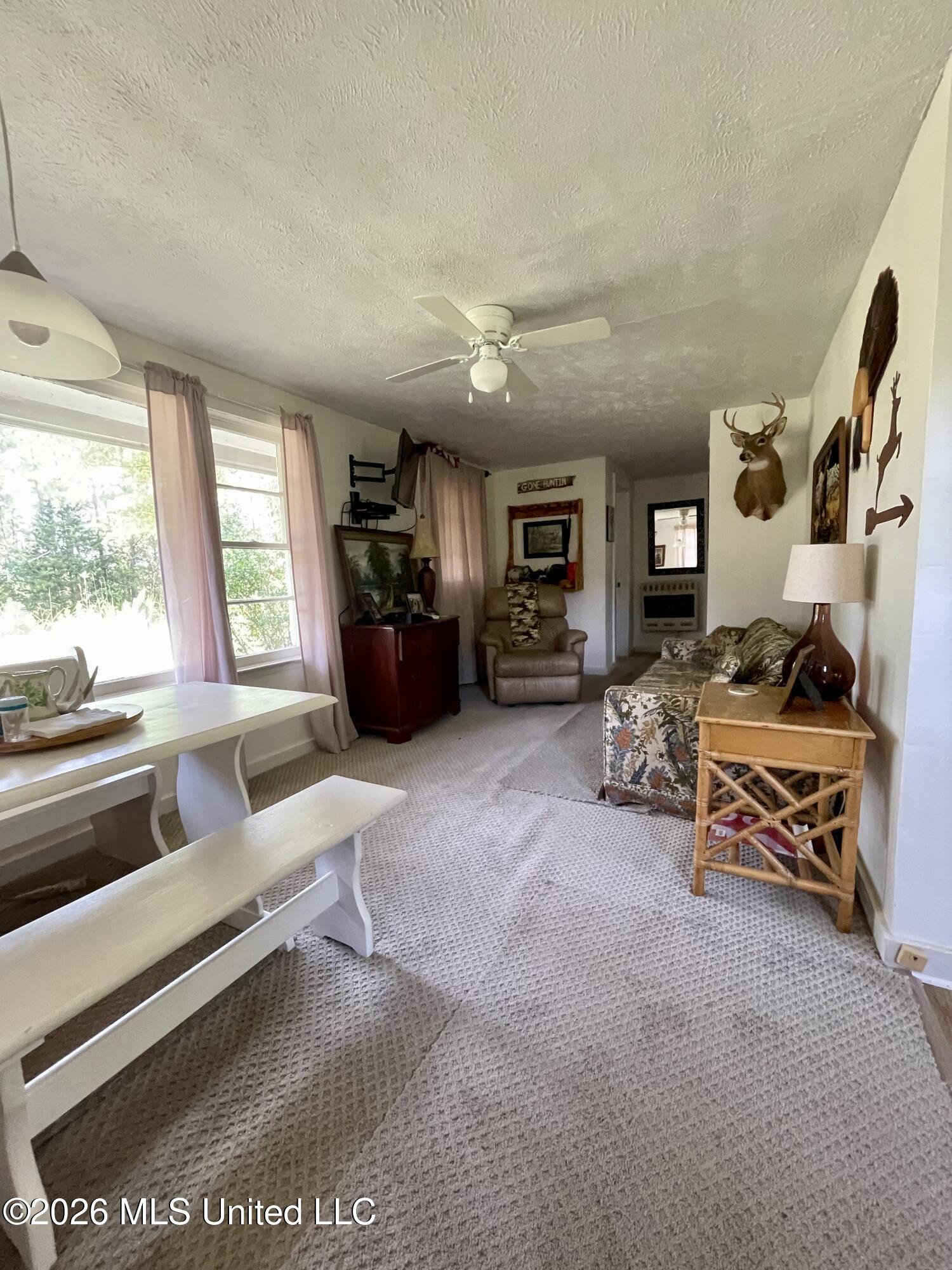 Cutts Road Property Photo 23