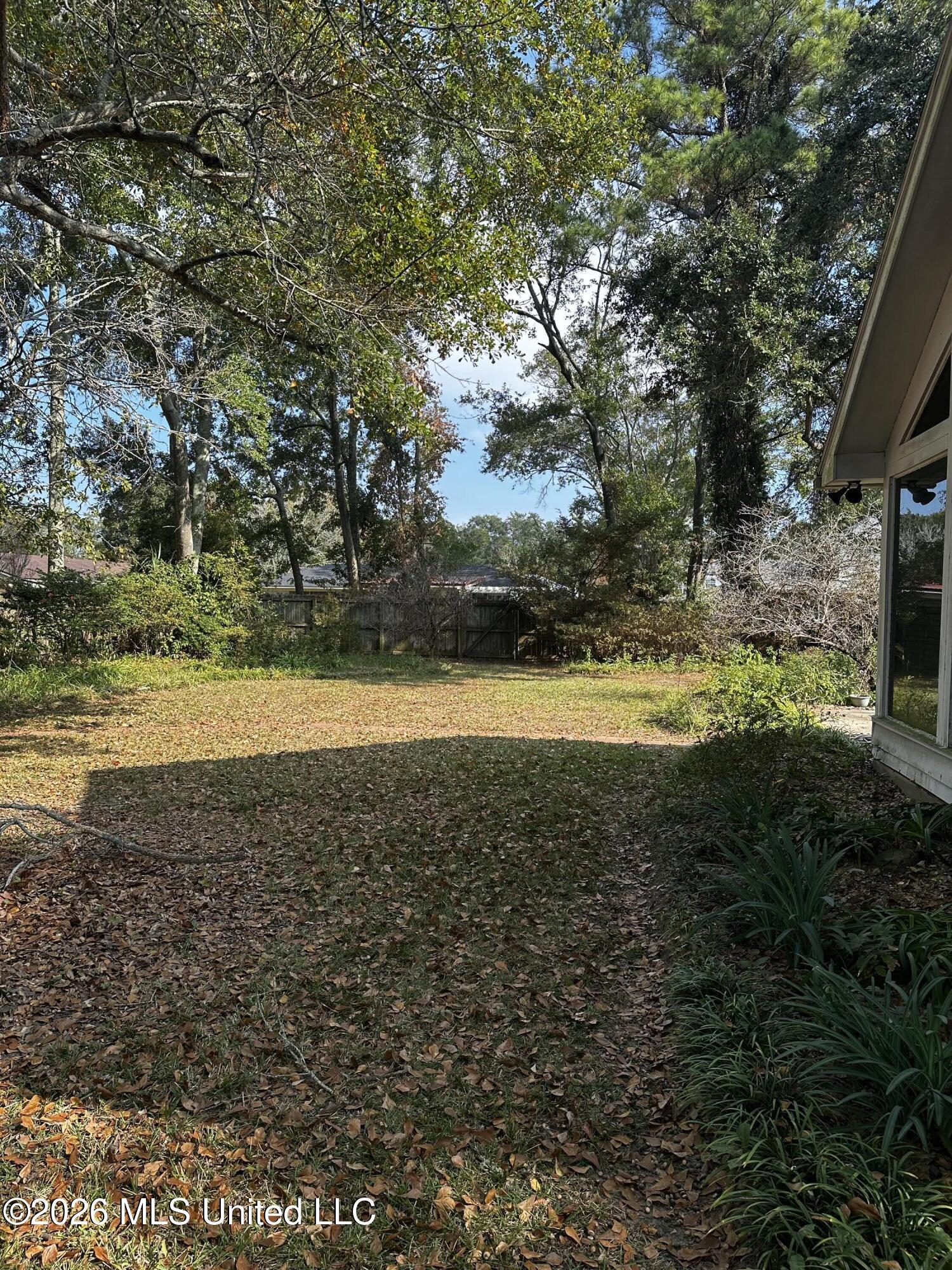 3911 Washington Avenue Property Photo 4