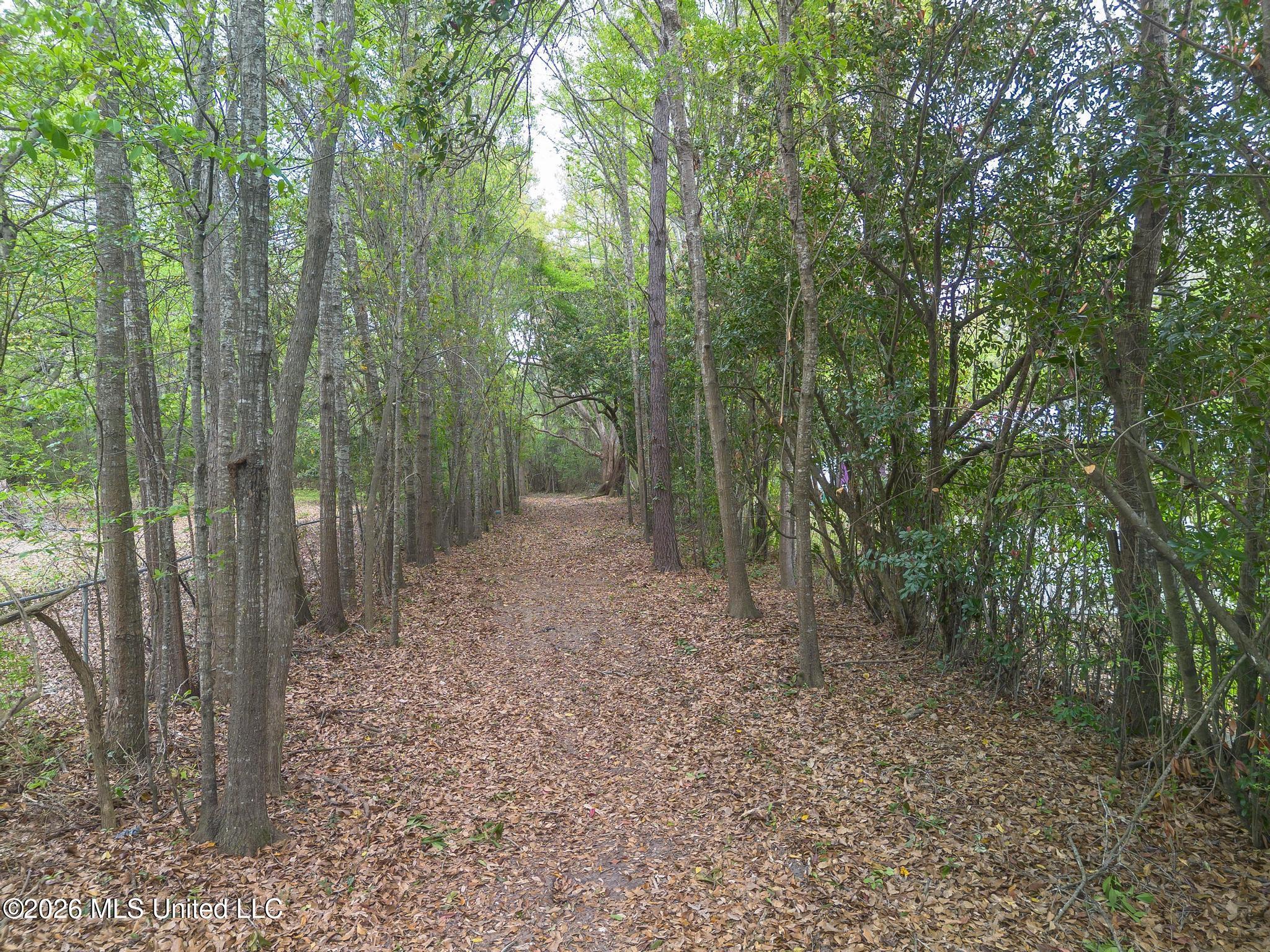000 Klein Road Property Photo 1