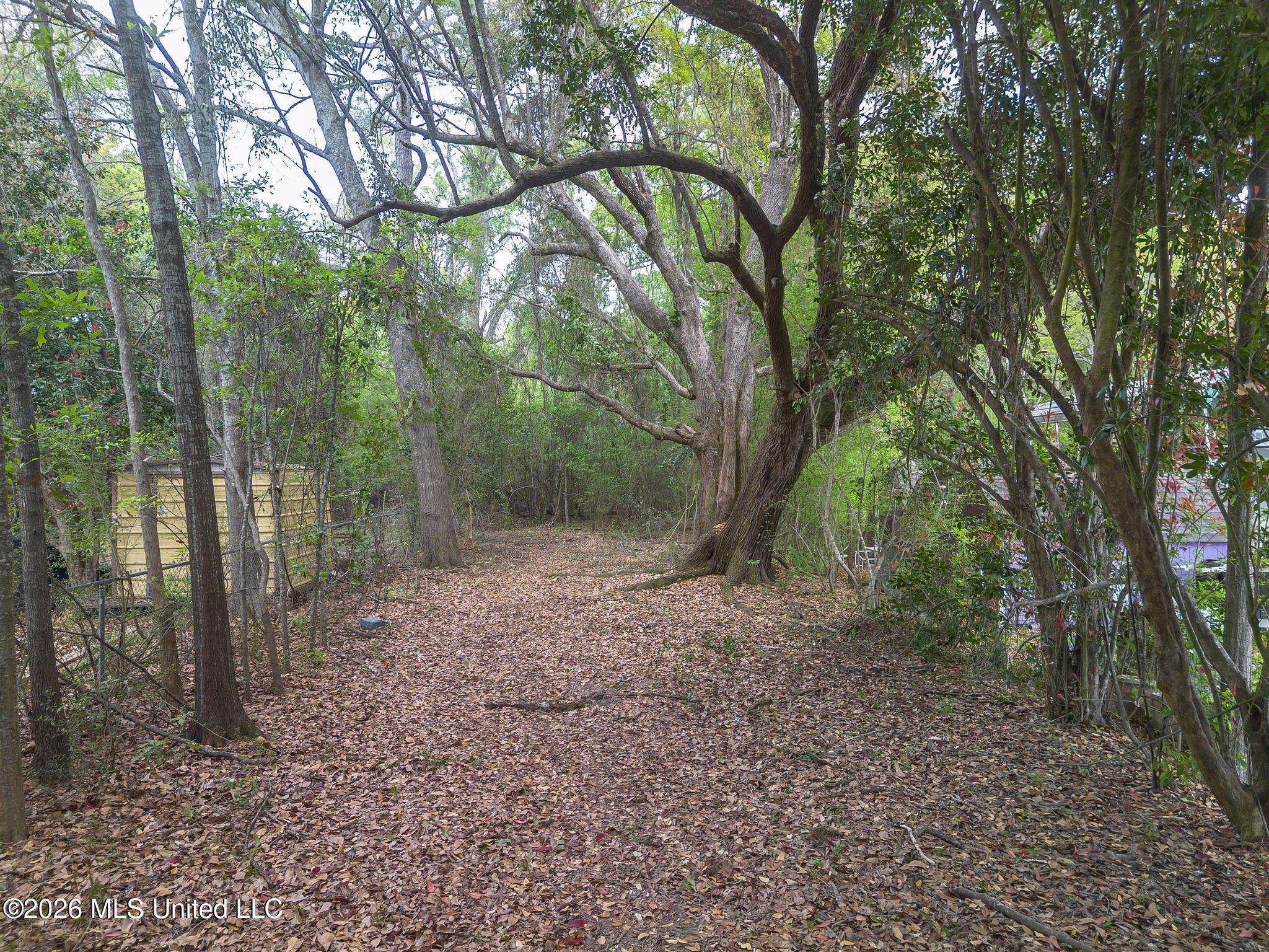 000 Klein Road Property Photo 2