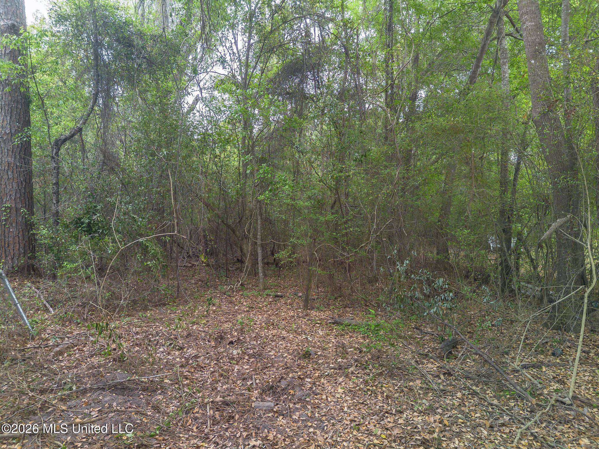 000 Klein Road Property Photo 3
