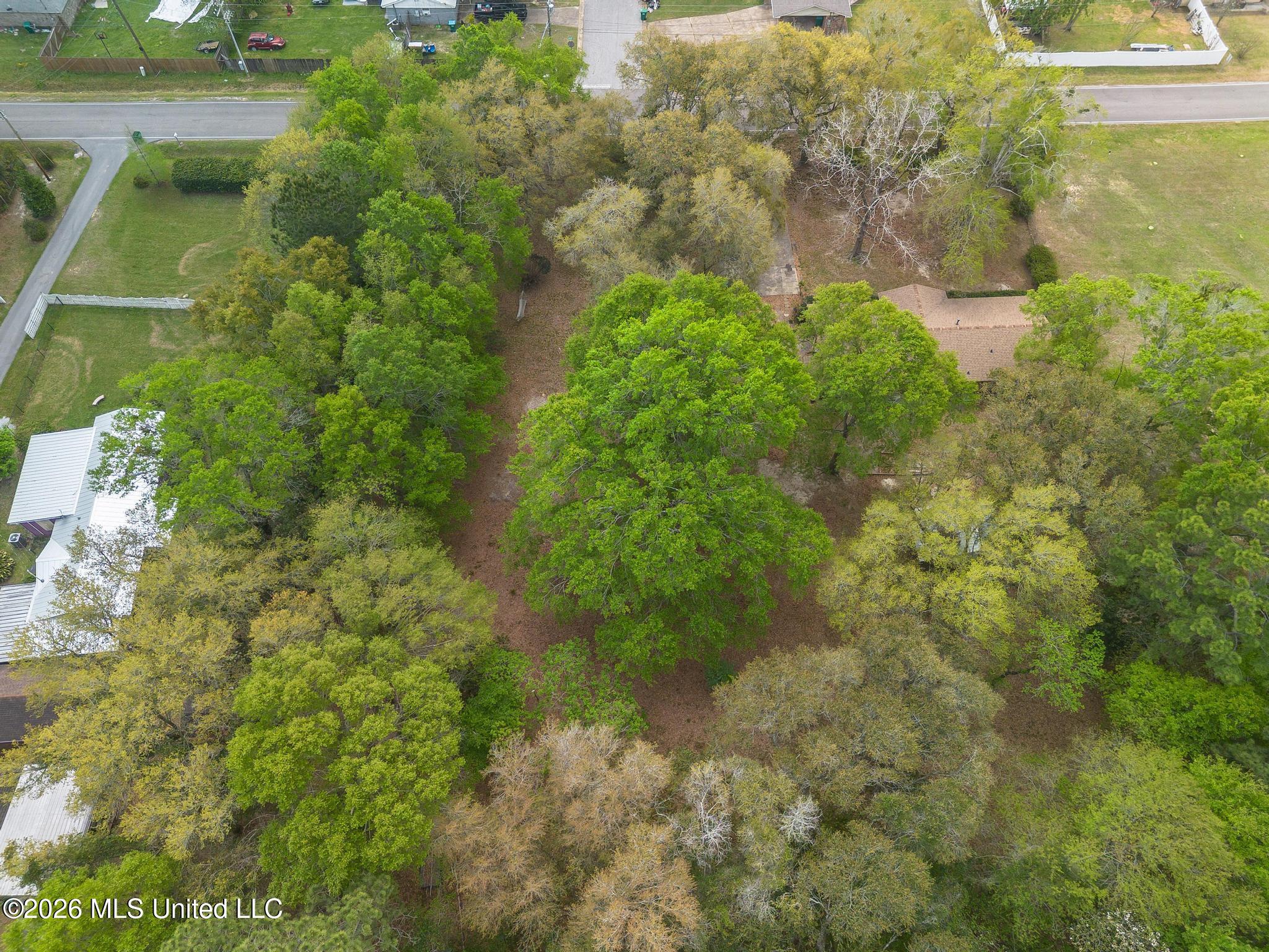 000 Klein Road Property Photo 12