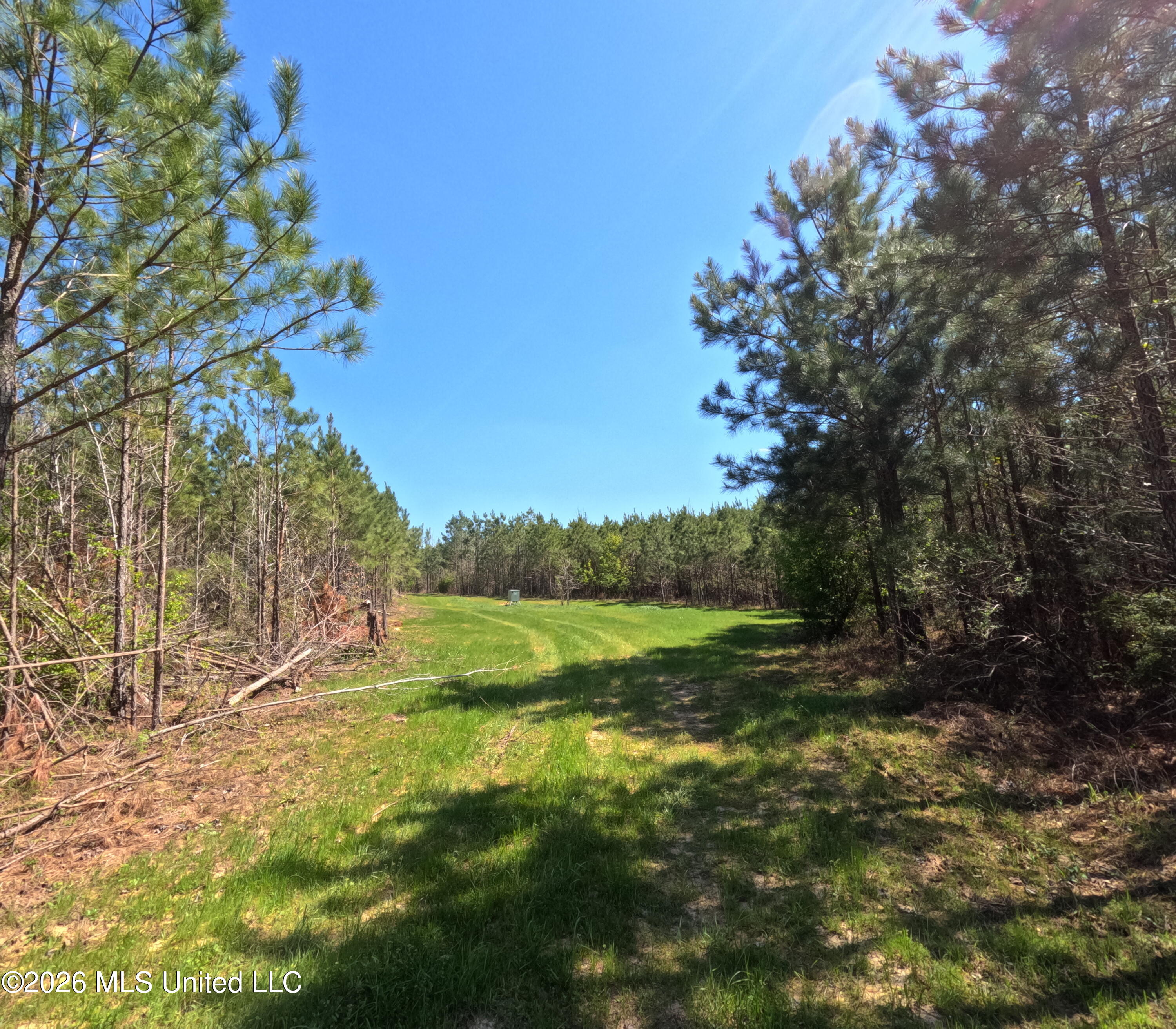 17565 Ms-27 Property Photo 5
