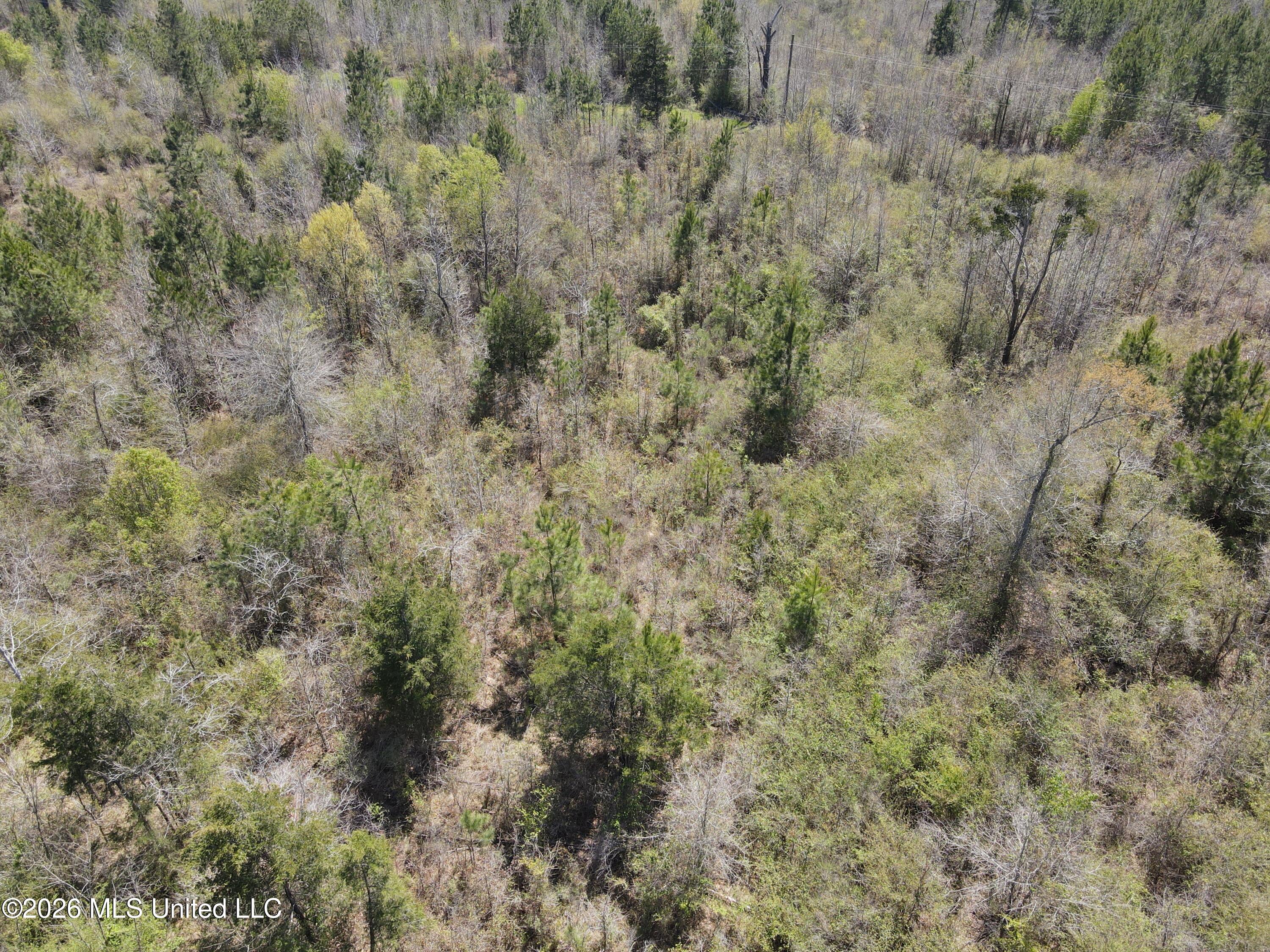 17565 Ms-27 Property Photo 9