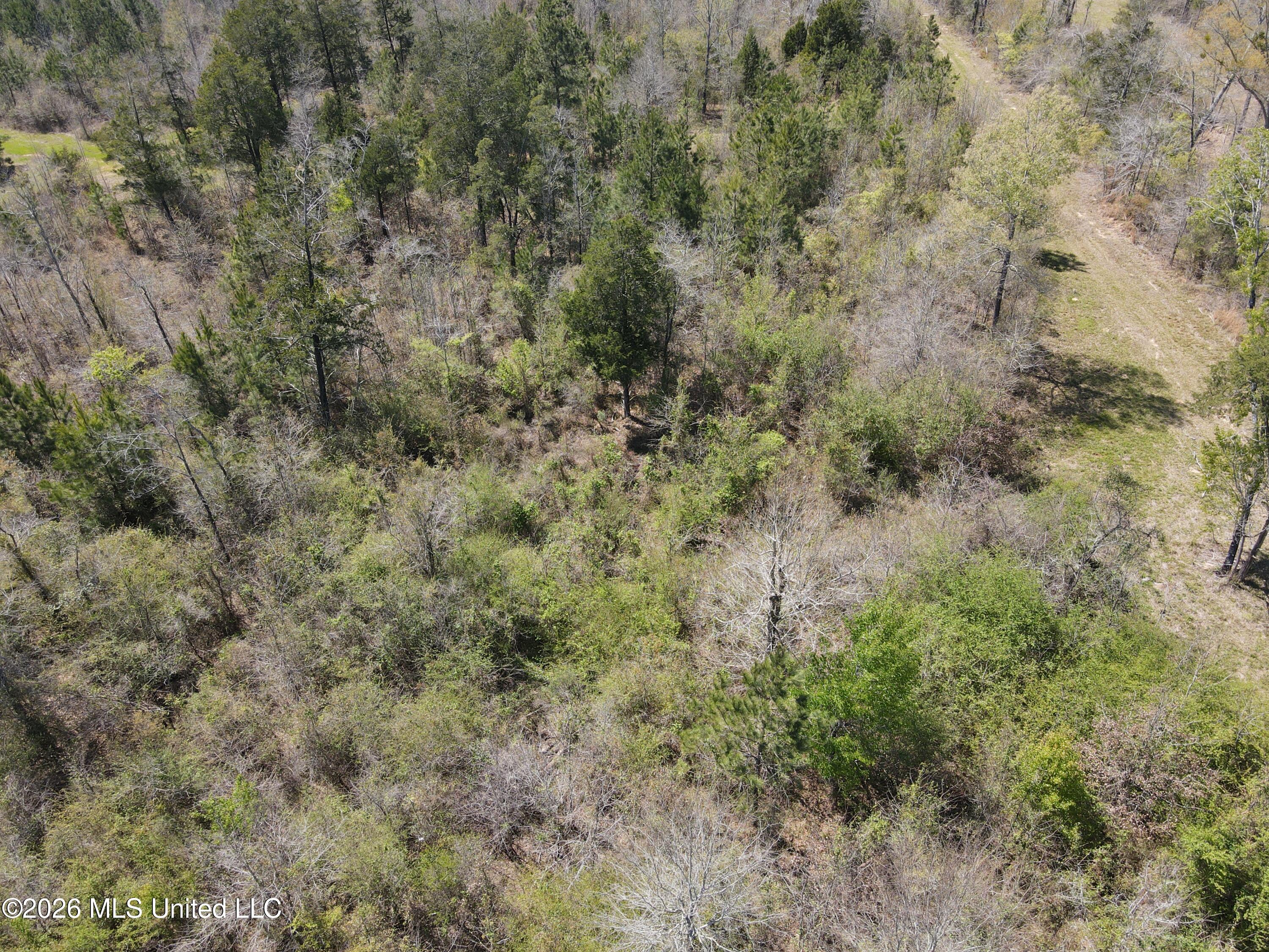 17565 Ms-27 Property Photo 10