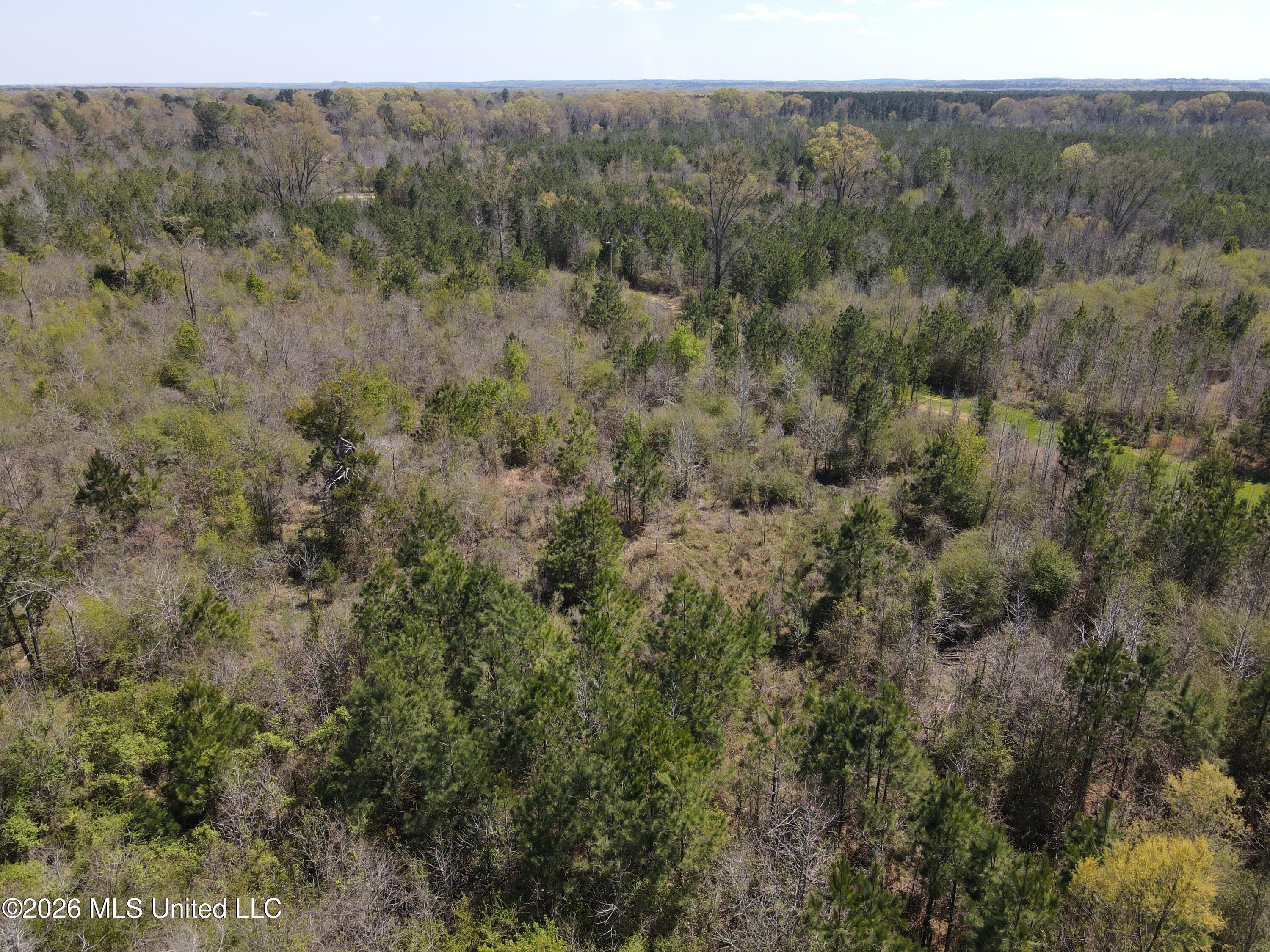 17565 Ms-27 Property Photo 13