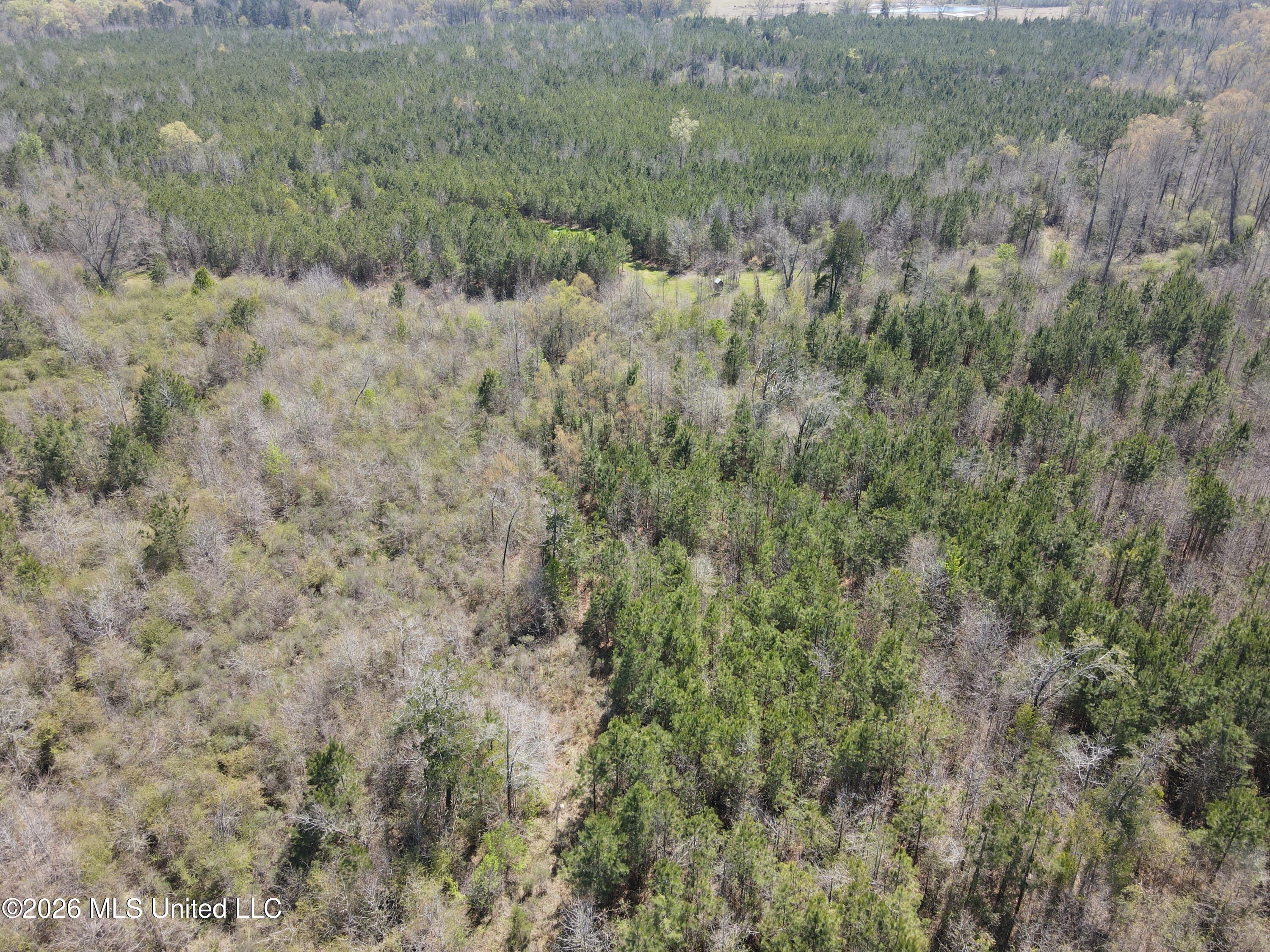 17565 Ms-27 Property Photo 22