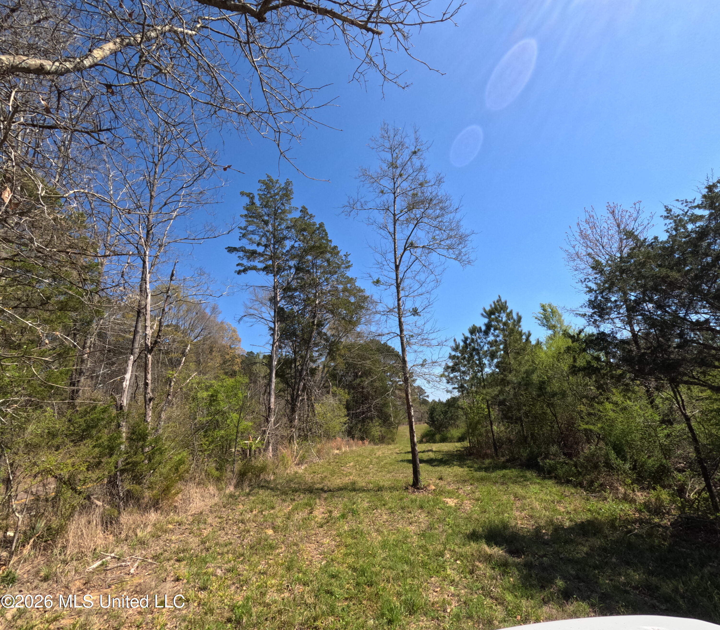 17565 Ms-27 Property Photo 37