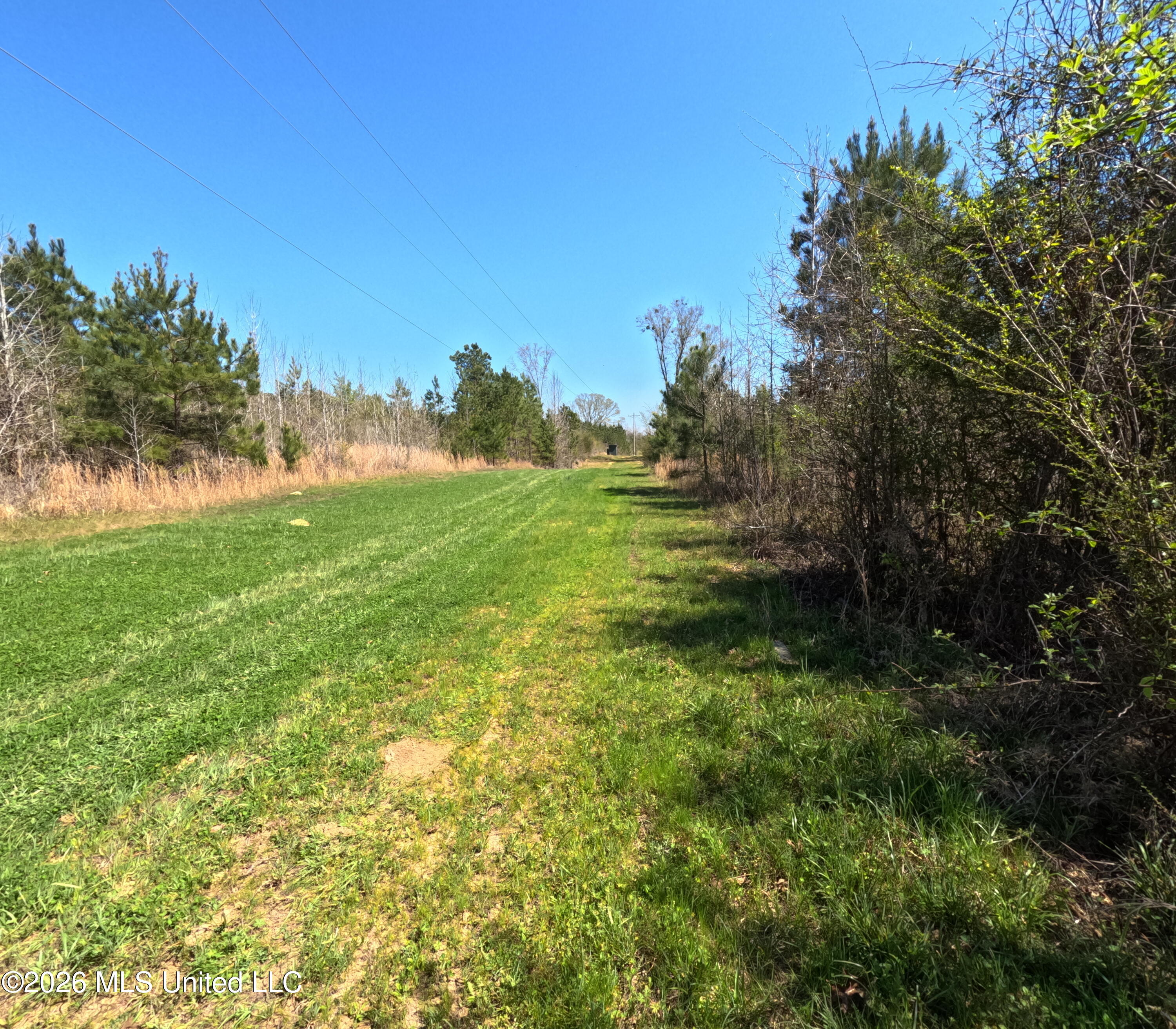 17565 Ms-27 Property Photo 39