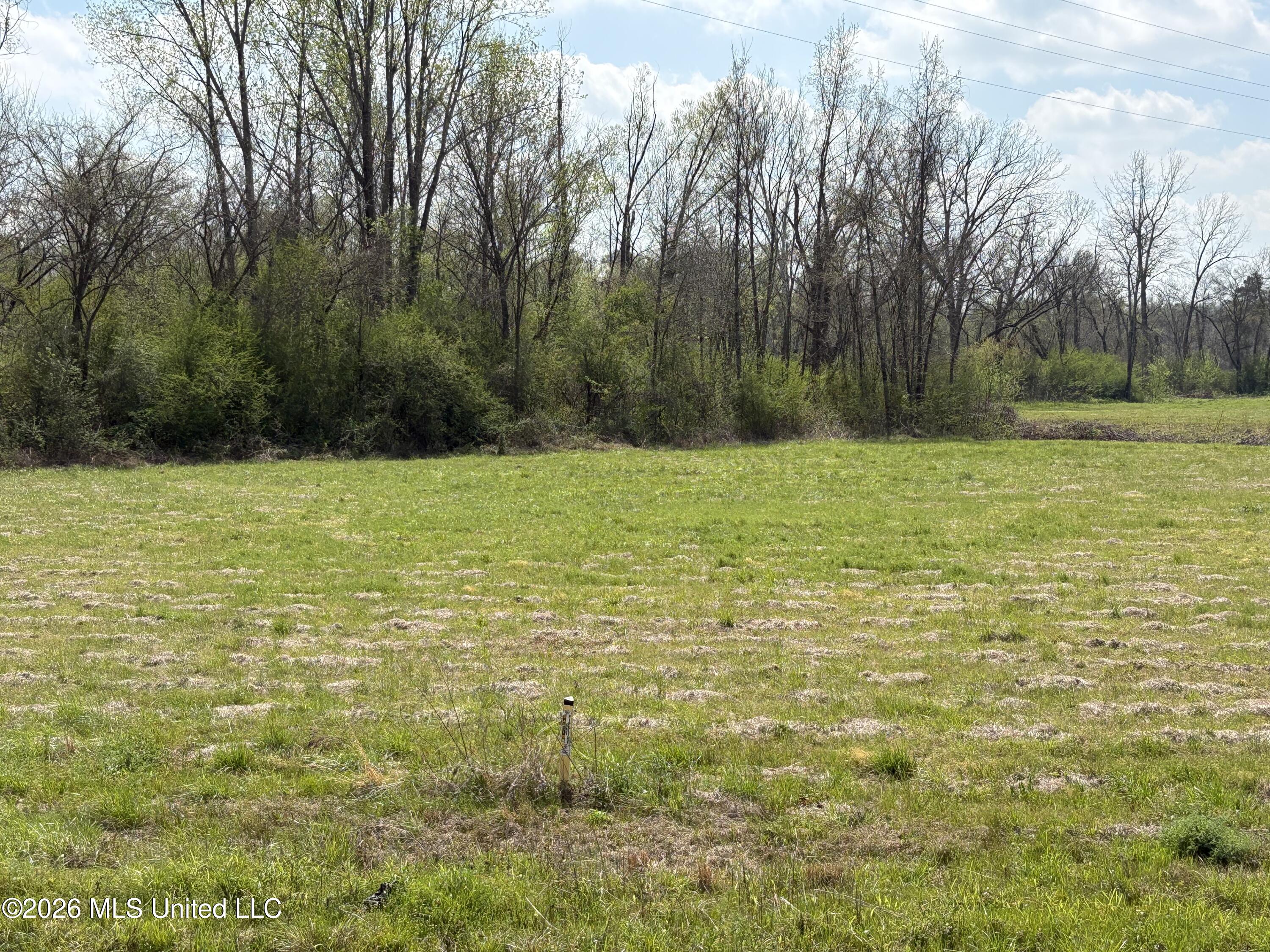 144 Henry Street Property Photo 9