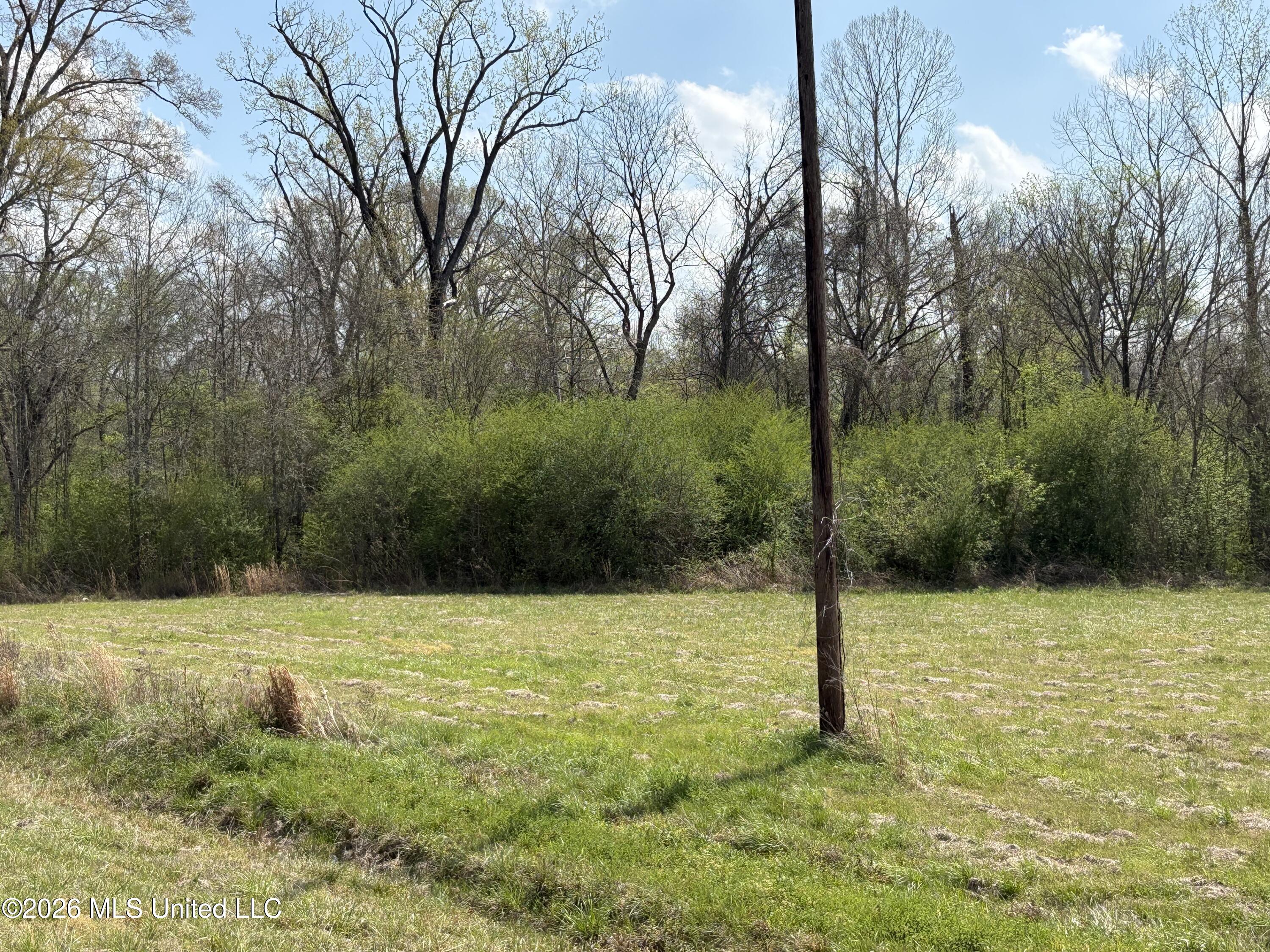 144 Henry Street Property Photo 10
