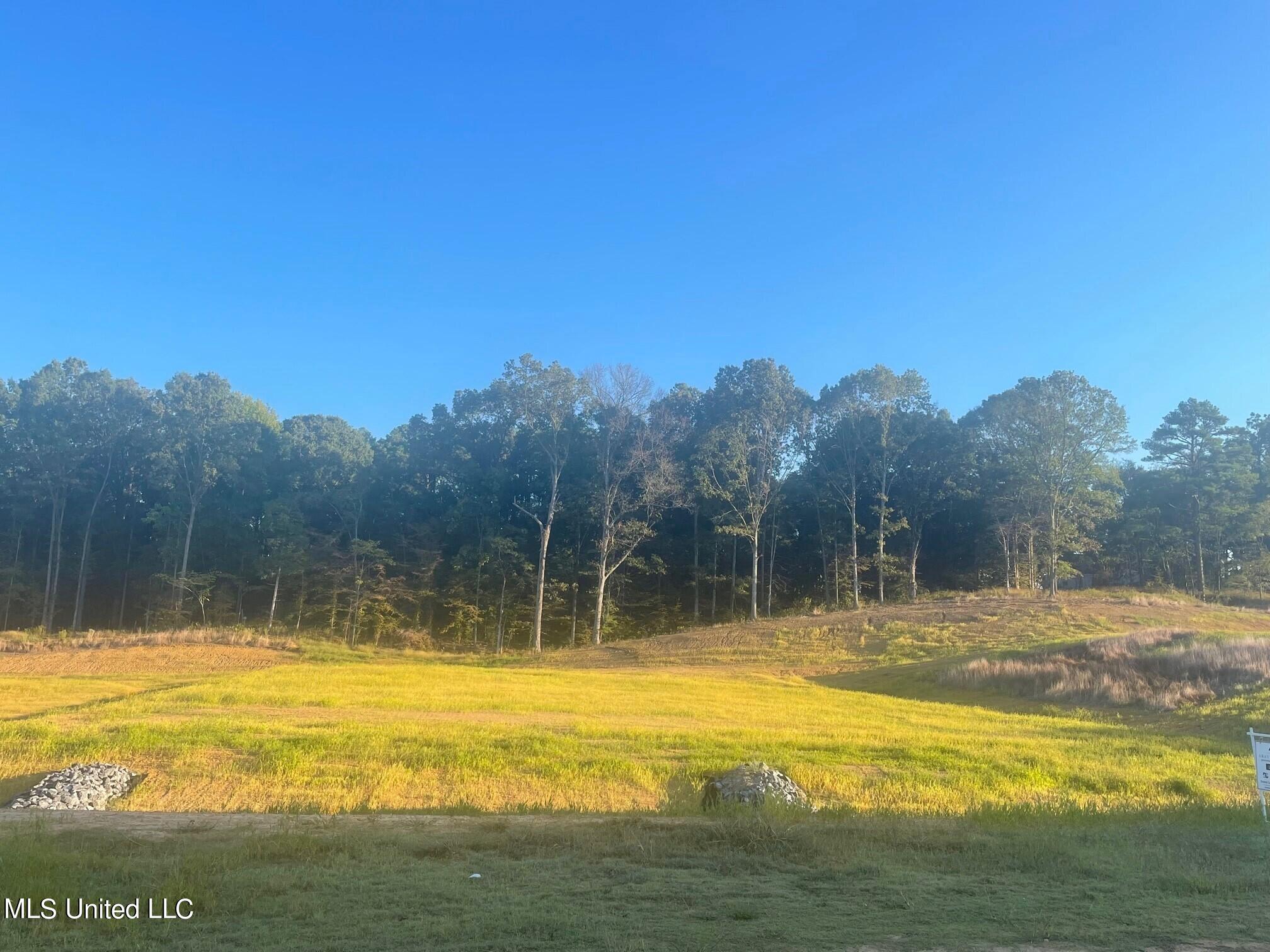 8 Plank Road Property Photo 1