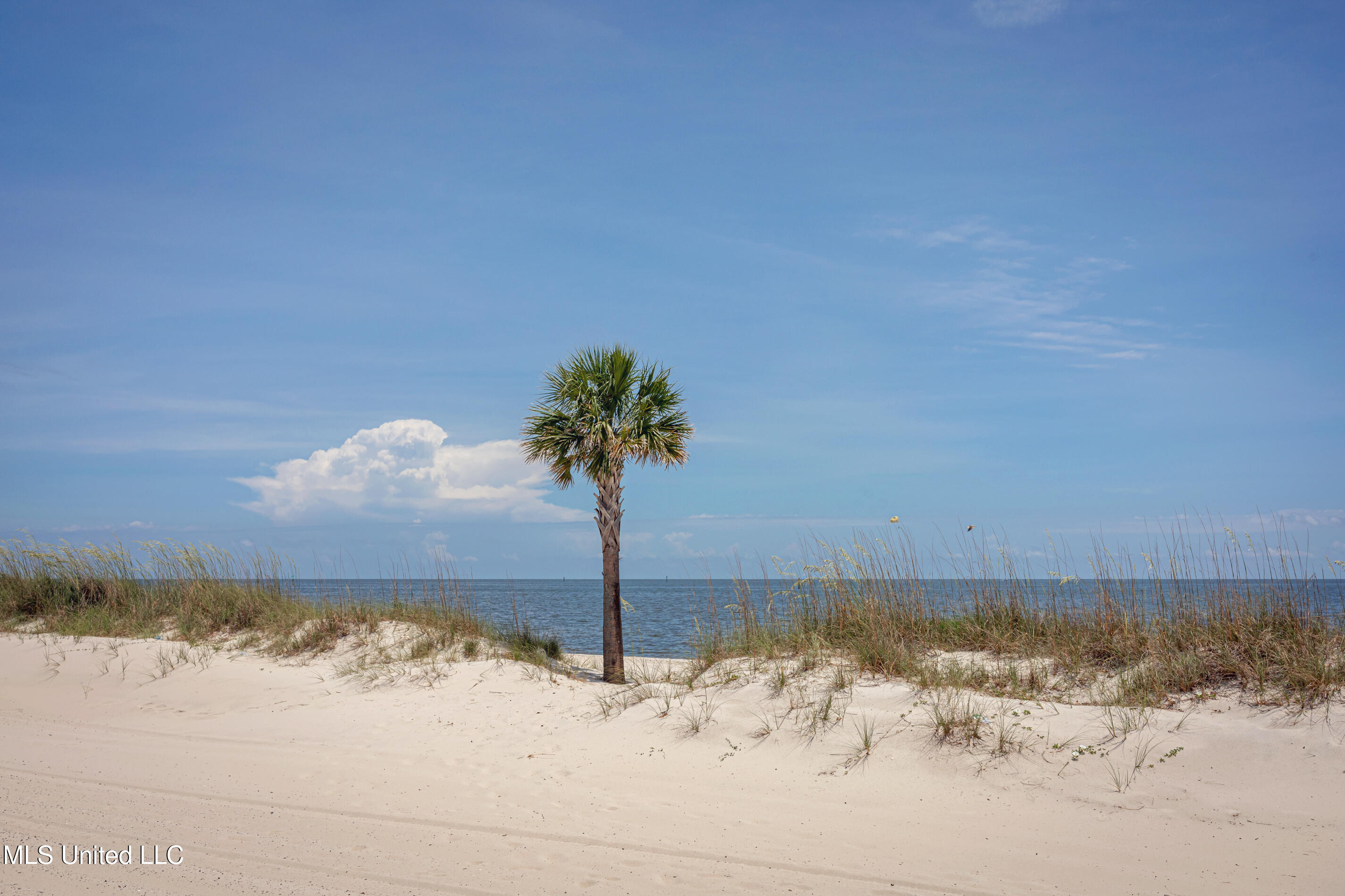 1282 Beach Boulevard Property Photo 33