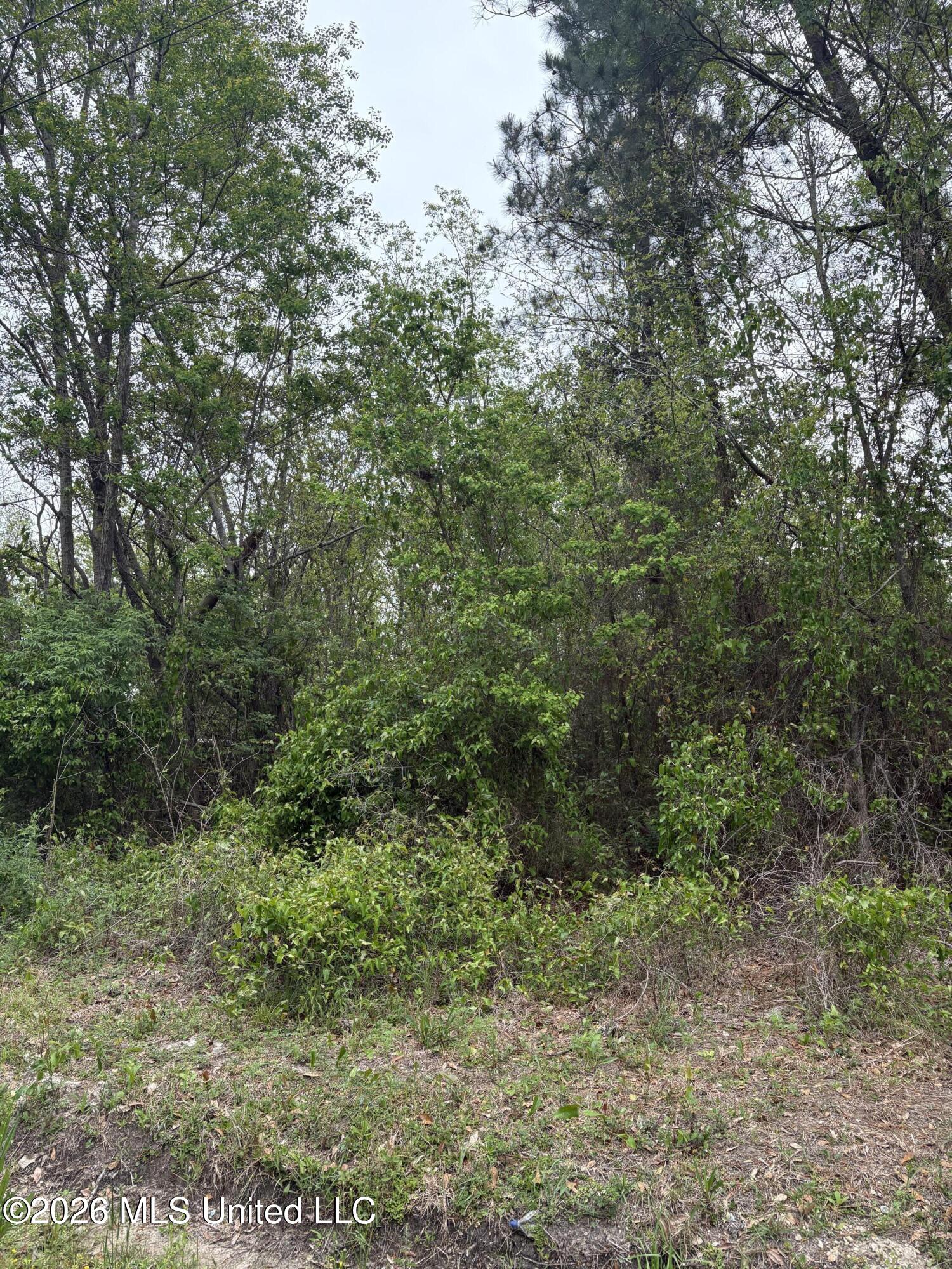 00 Wilson St Street Property Photo 3