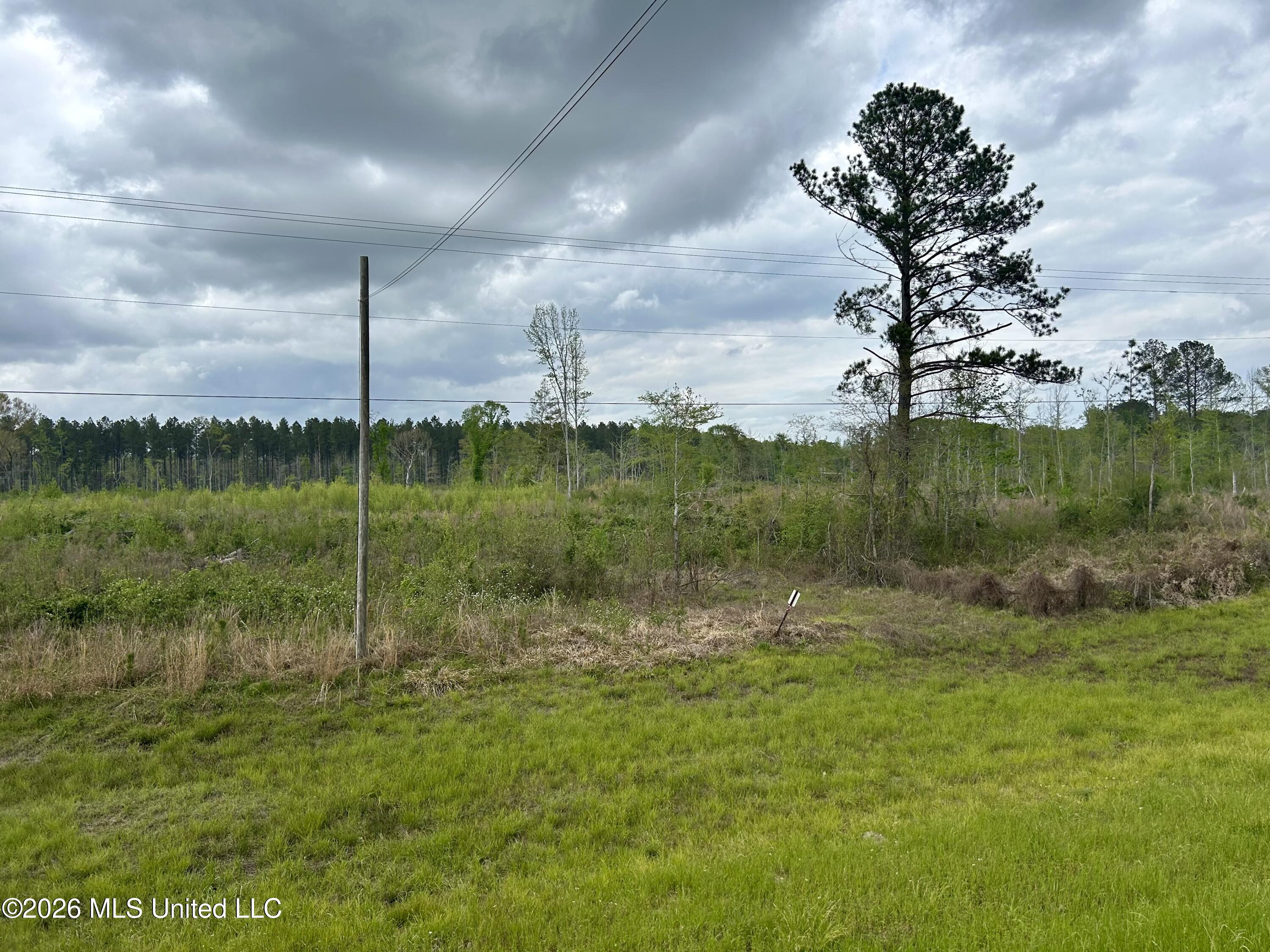 Highway 184 Property Photo 4