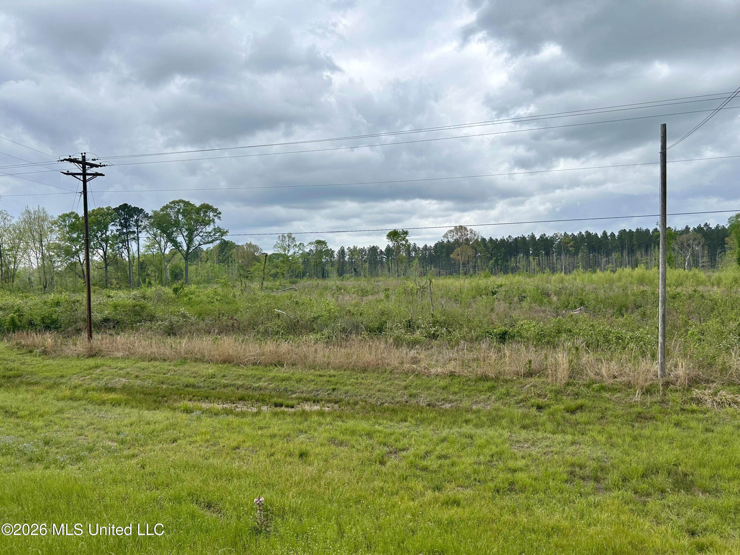 Highway 184 Property Photo 6