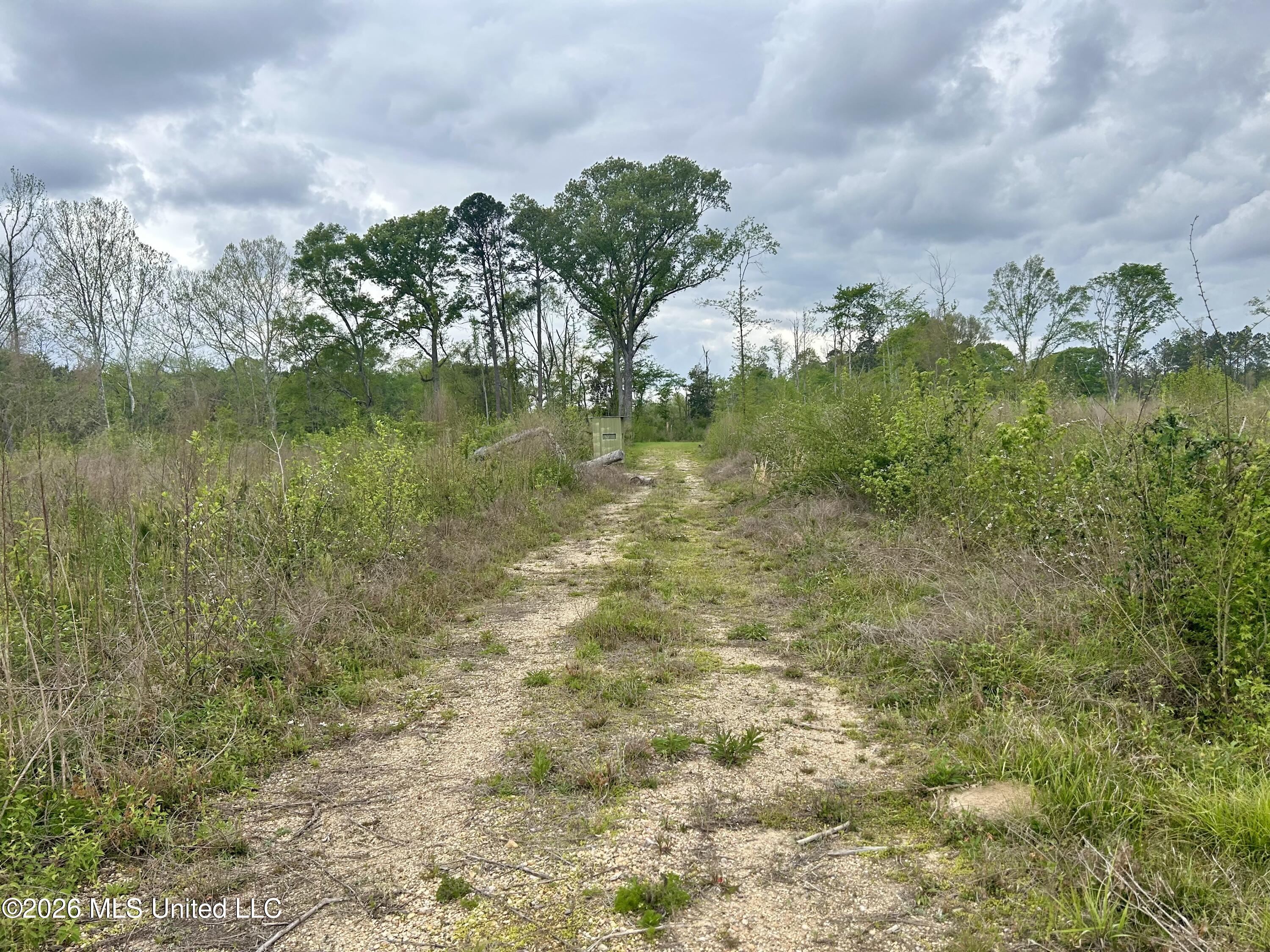 Highway 184 Property Photo 8