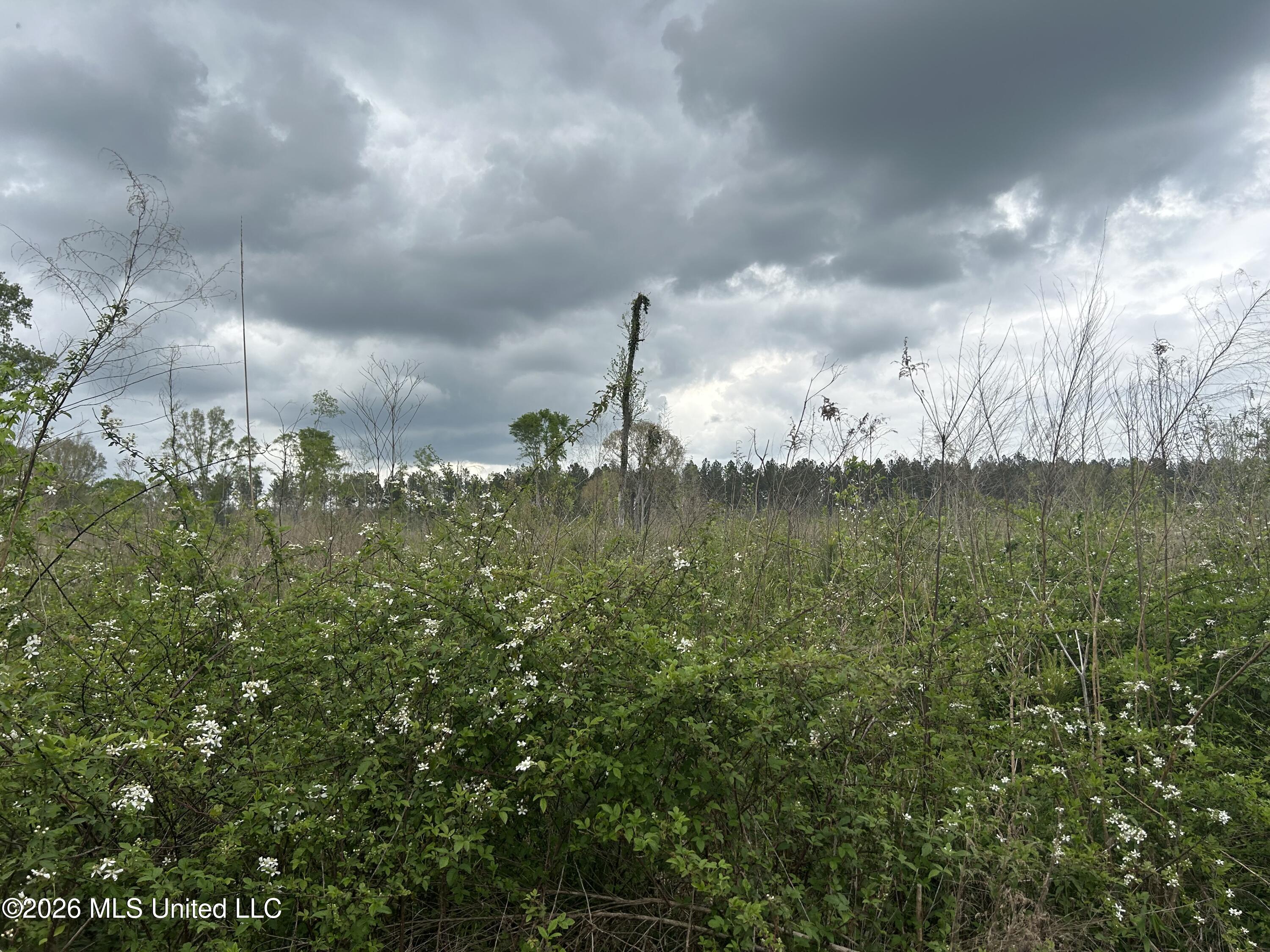 Highway 184 Property Photo 10