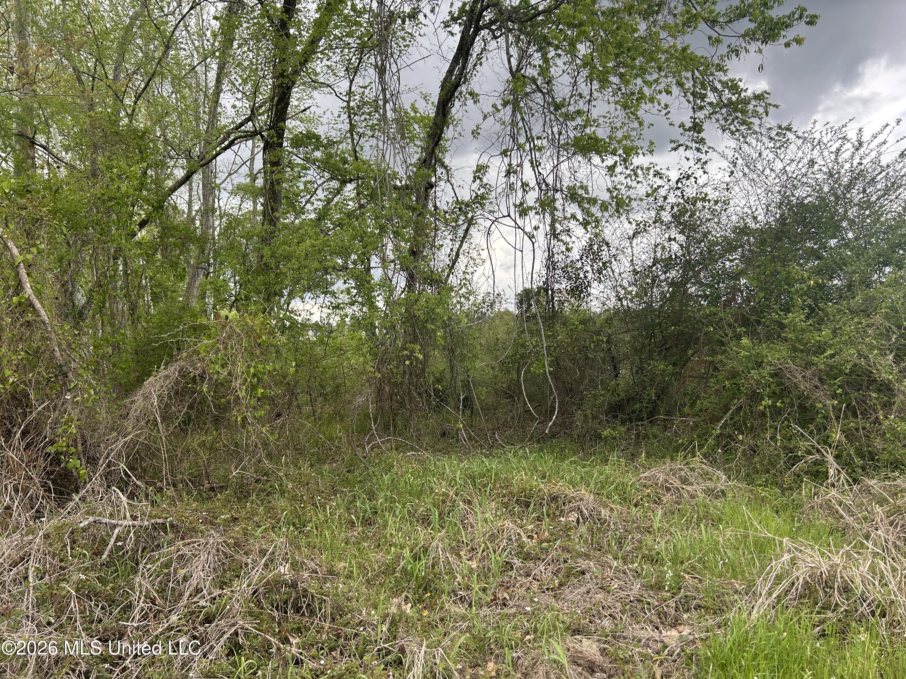 Highway 184 Property Photo 11