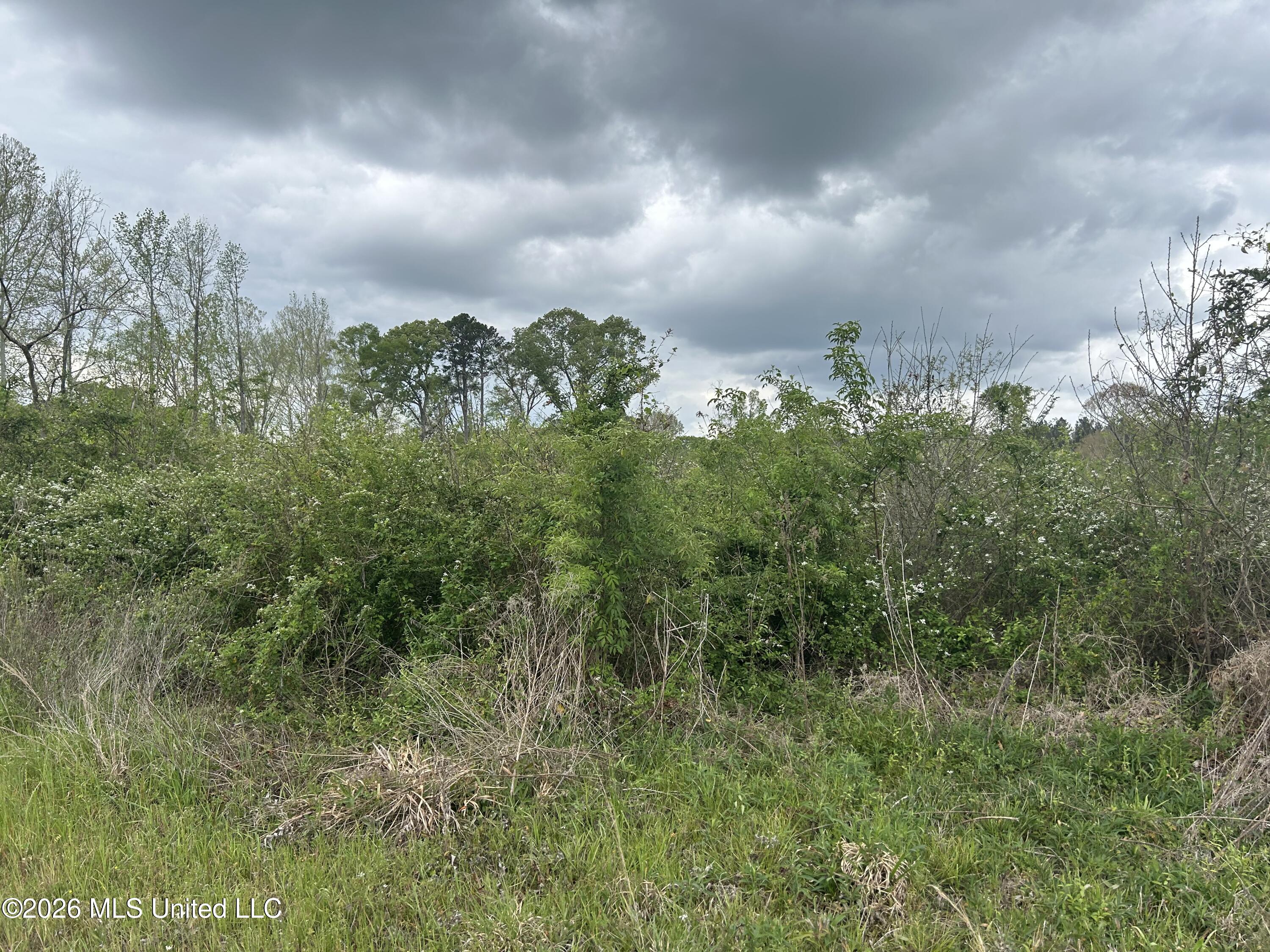 Highway 184 Property Photo 14