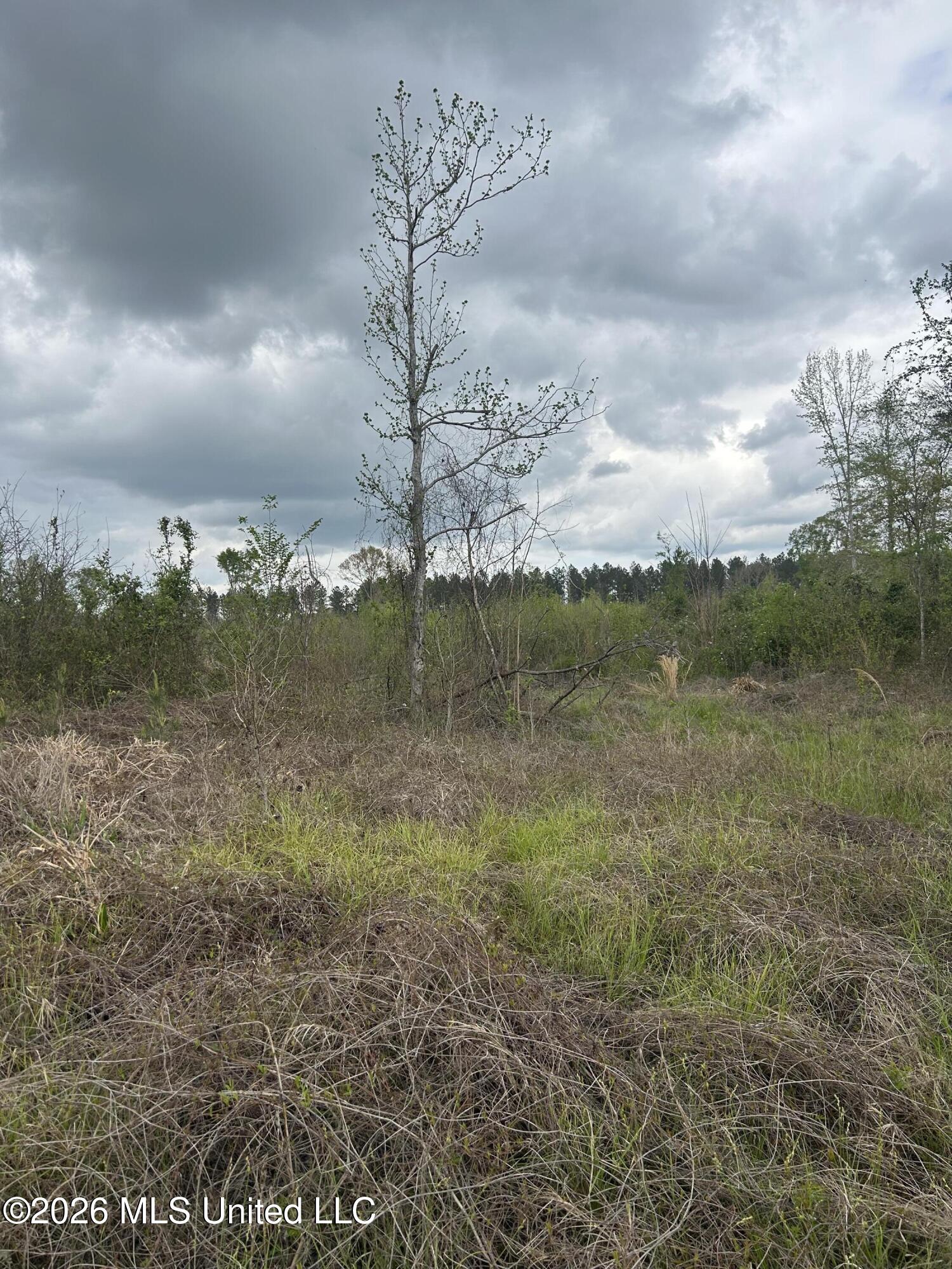 Highway 184 Property Photo 16