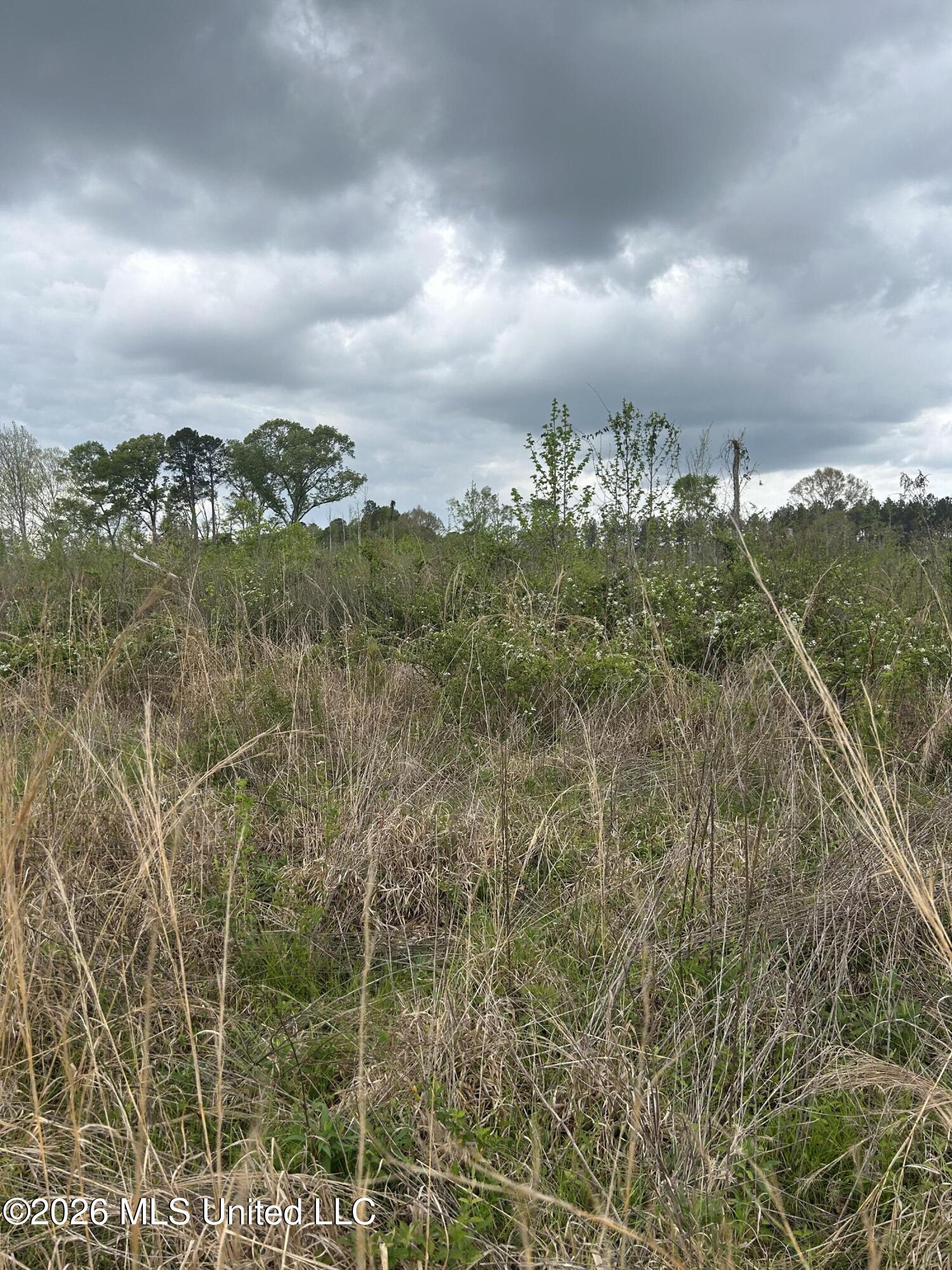 Highway 184 Property Photo 17