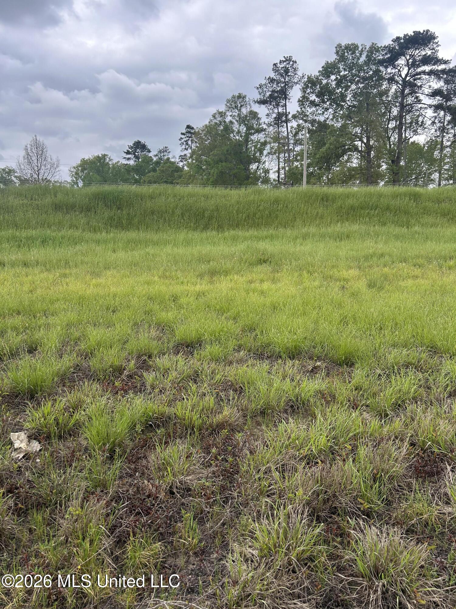 Highway 184 Property Photo 19