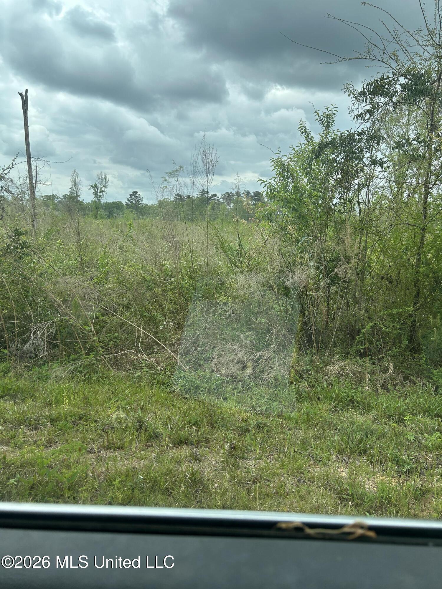 Highway 184 Property Photo 20