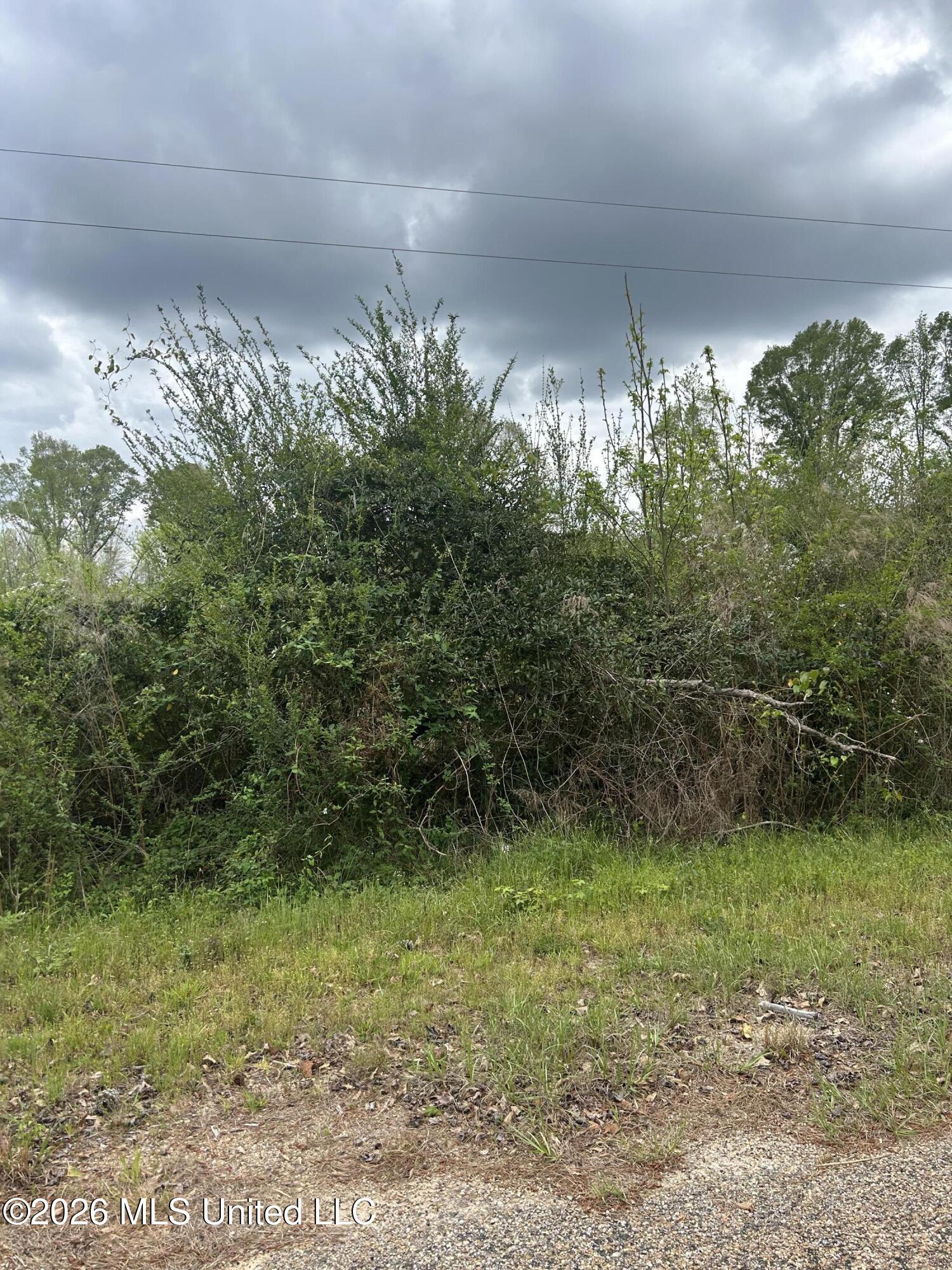 Highway 184 Property Photo 21