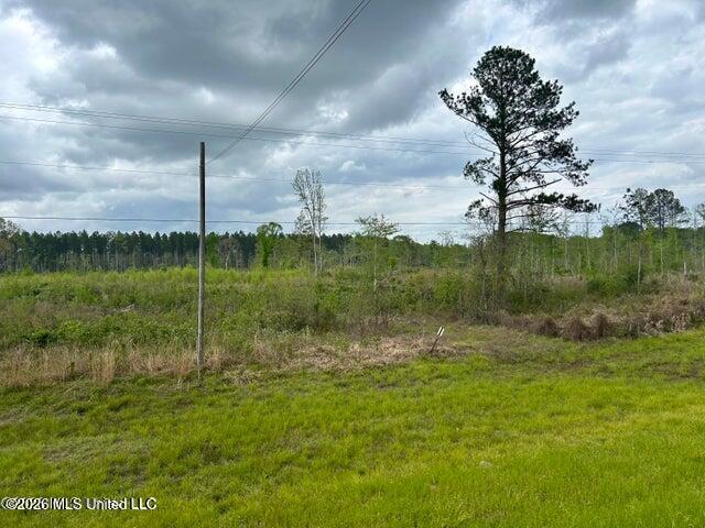Highway 184 Property Photo 22