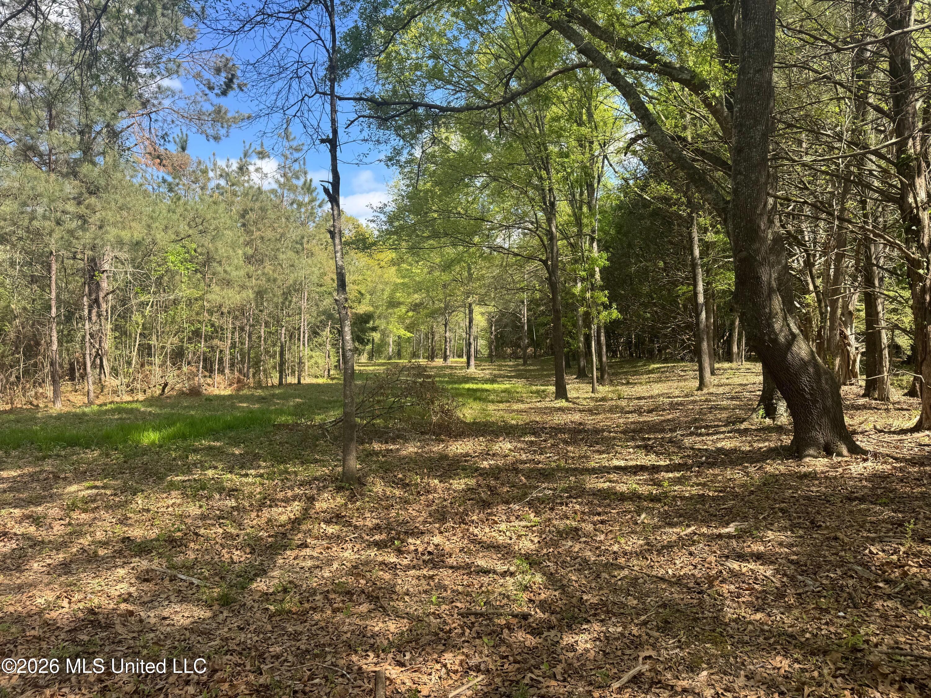 150 Central Boulevard Property Photo 15