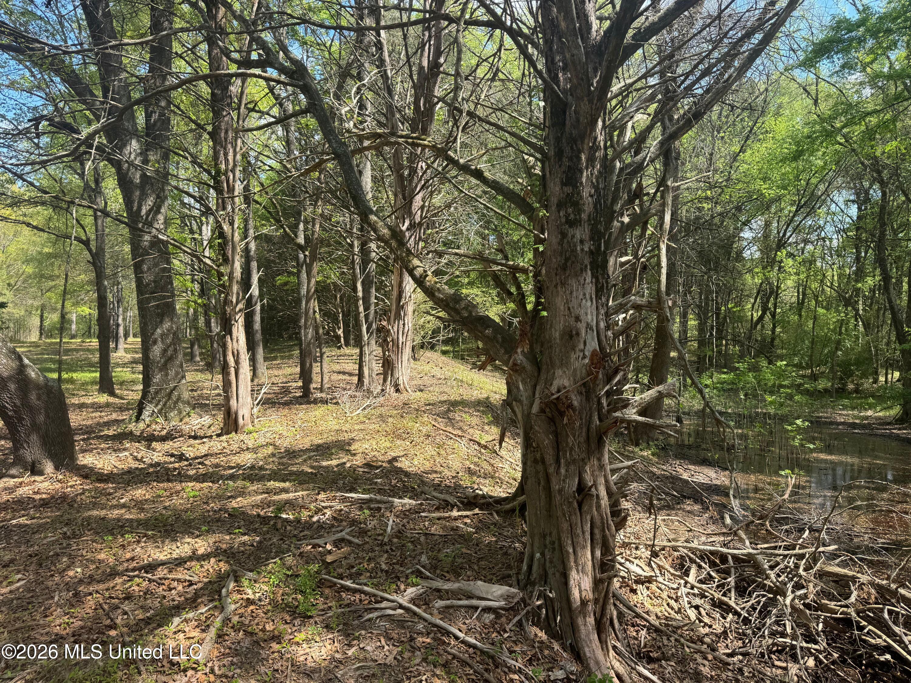 150 Central Boulevard Property Photo 17