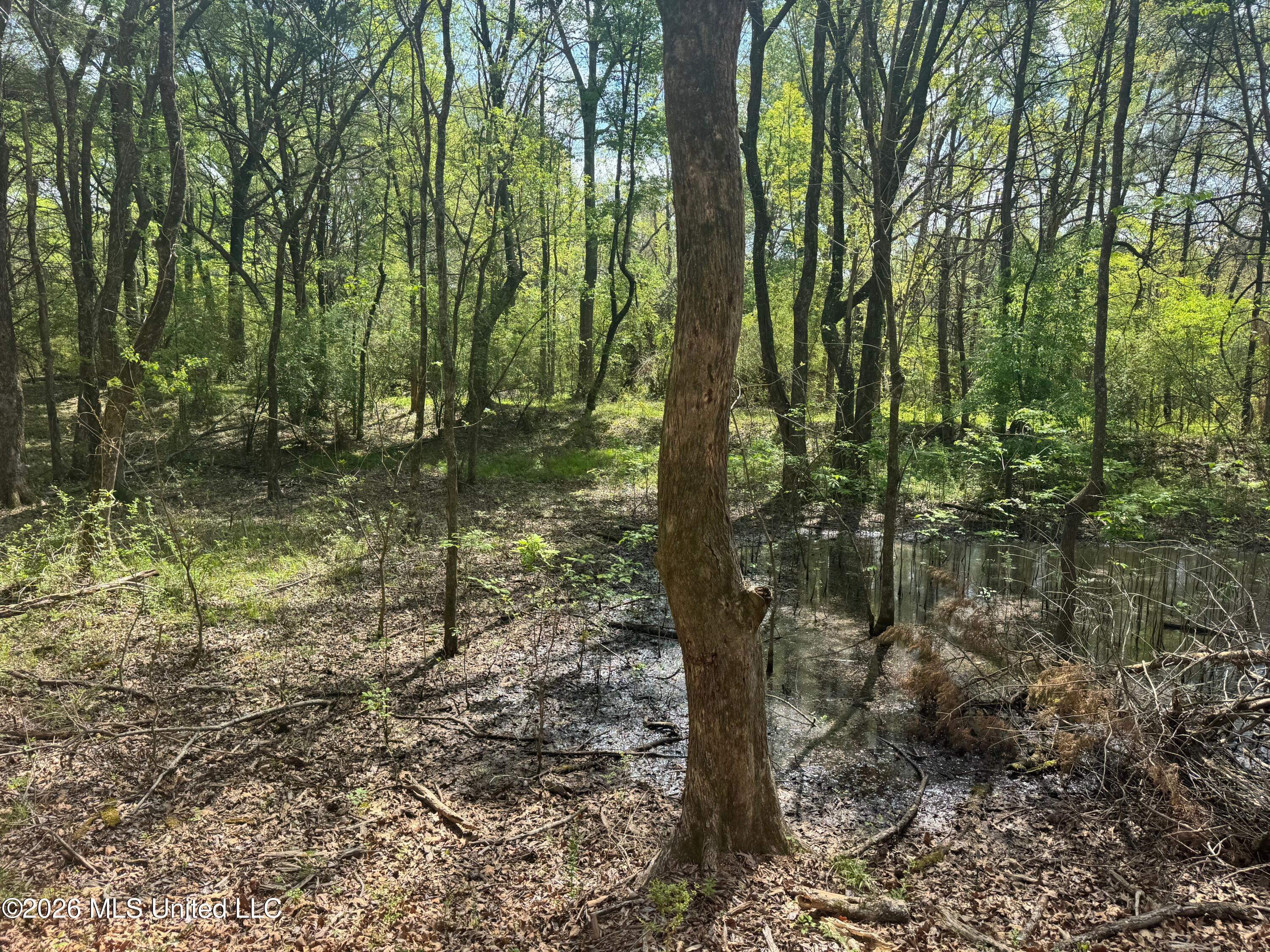 150 Central Boulevard Property Photo 19
